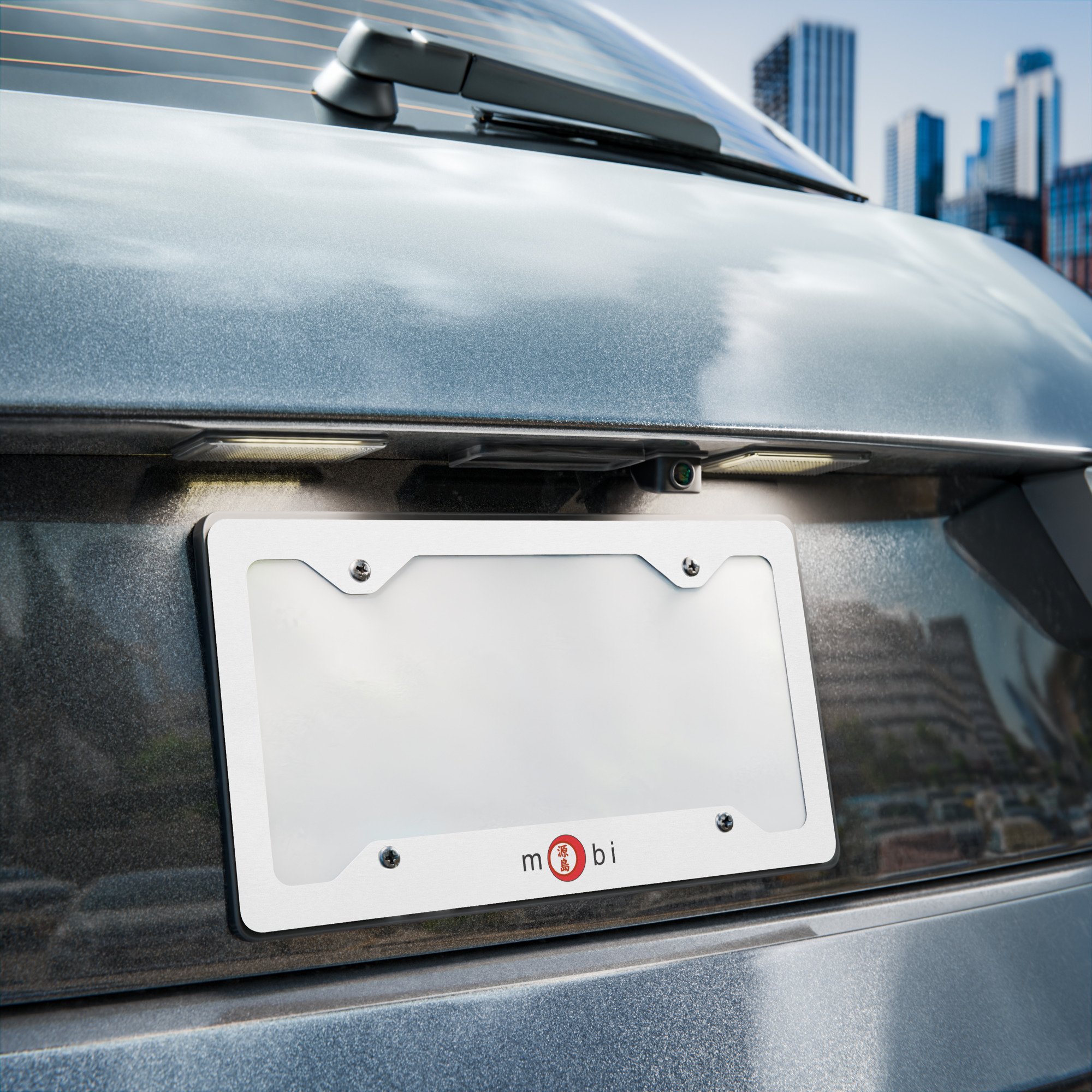 metal-license-plate-frame-white-front-silver-back-12.25x6.5-front-688813b0bdc5f.jpg