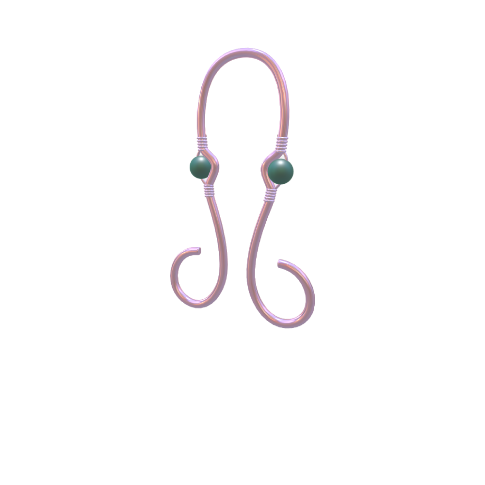 octopus3