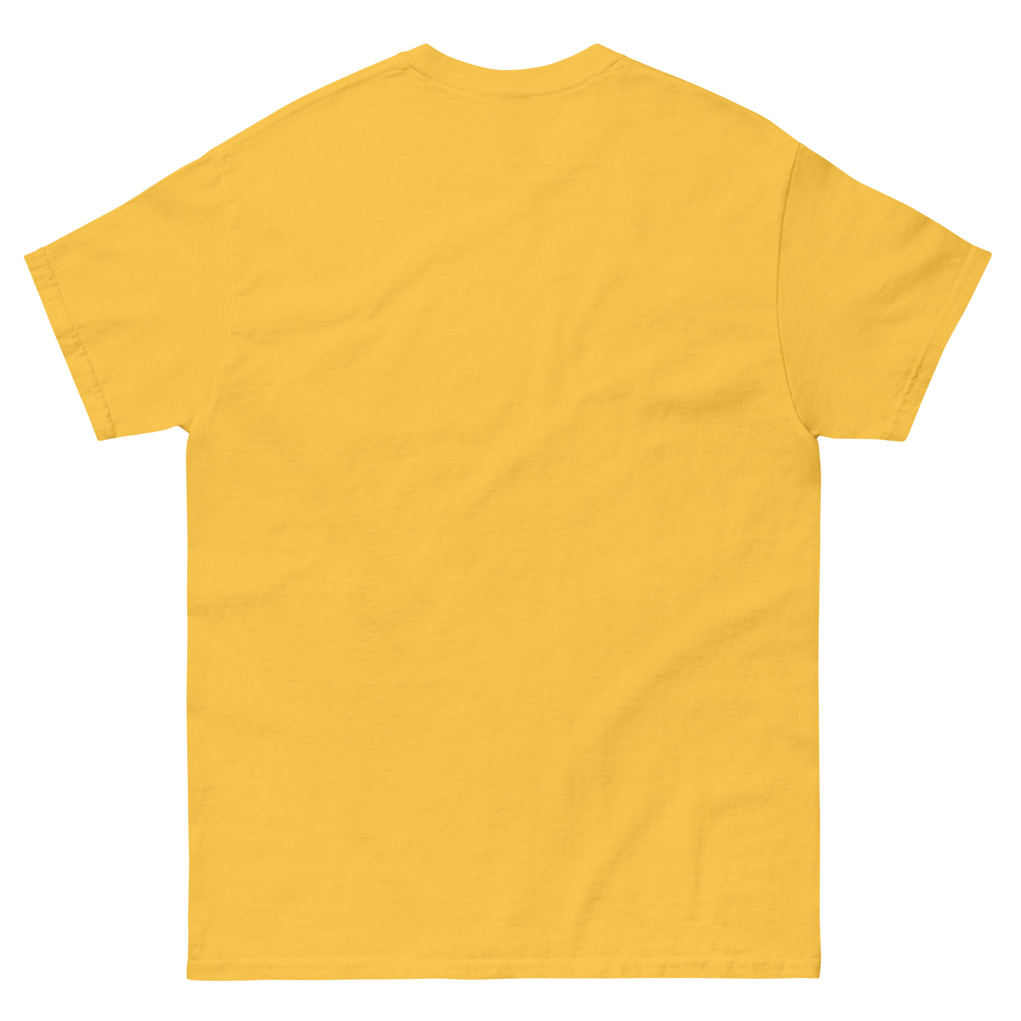 unisex-classic-tee-daisy-back-68d050f52aadd.jpg