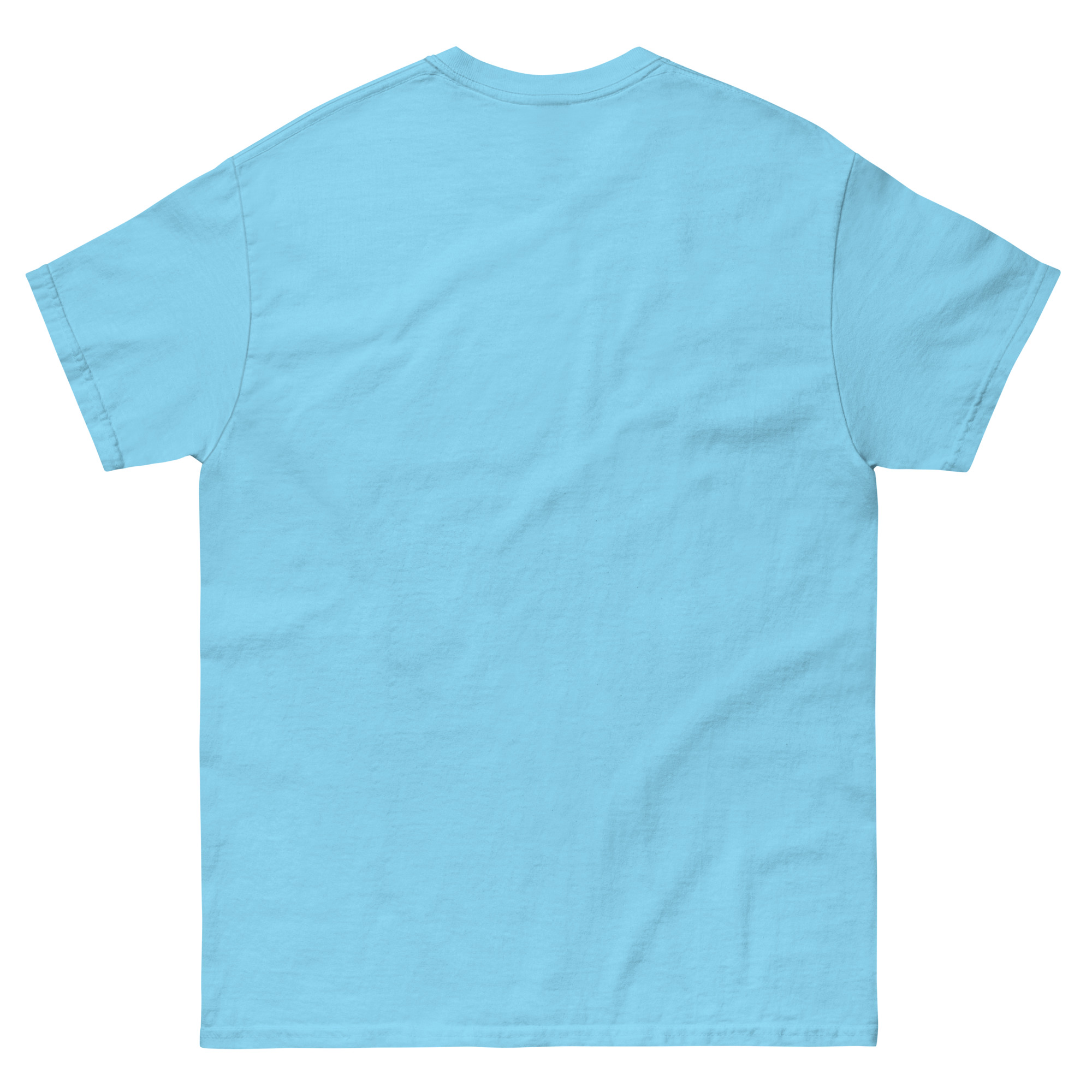 unisex-classic-tee-sky-back-68d050f53fc84.jpg