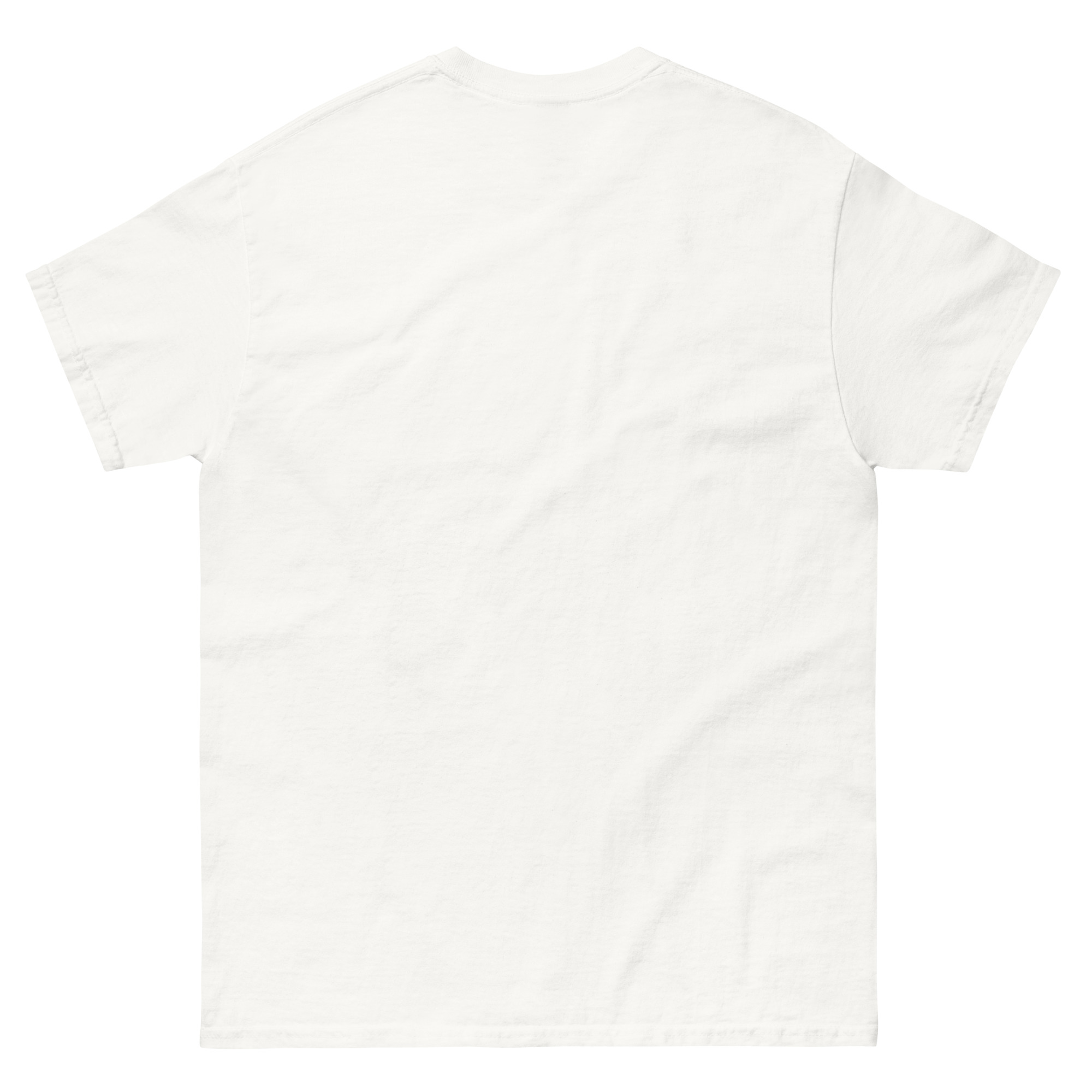 unisex-classic-tee-white-back-68d050f5c6b69.jpg
