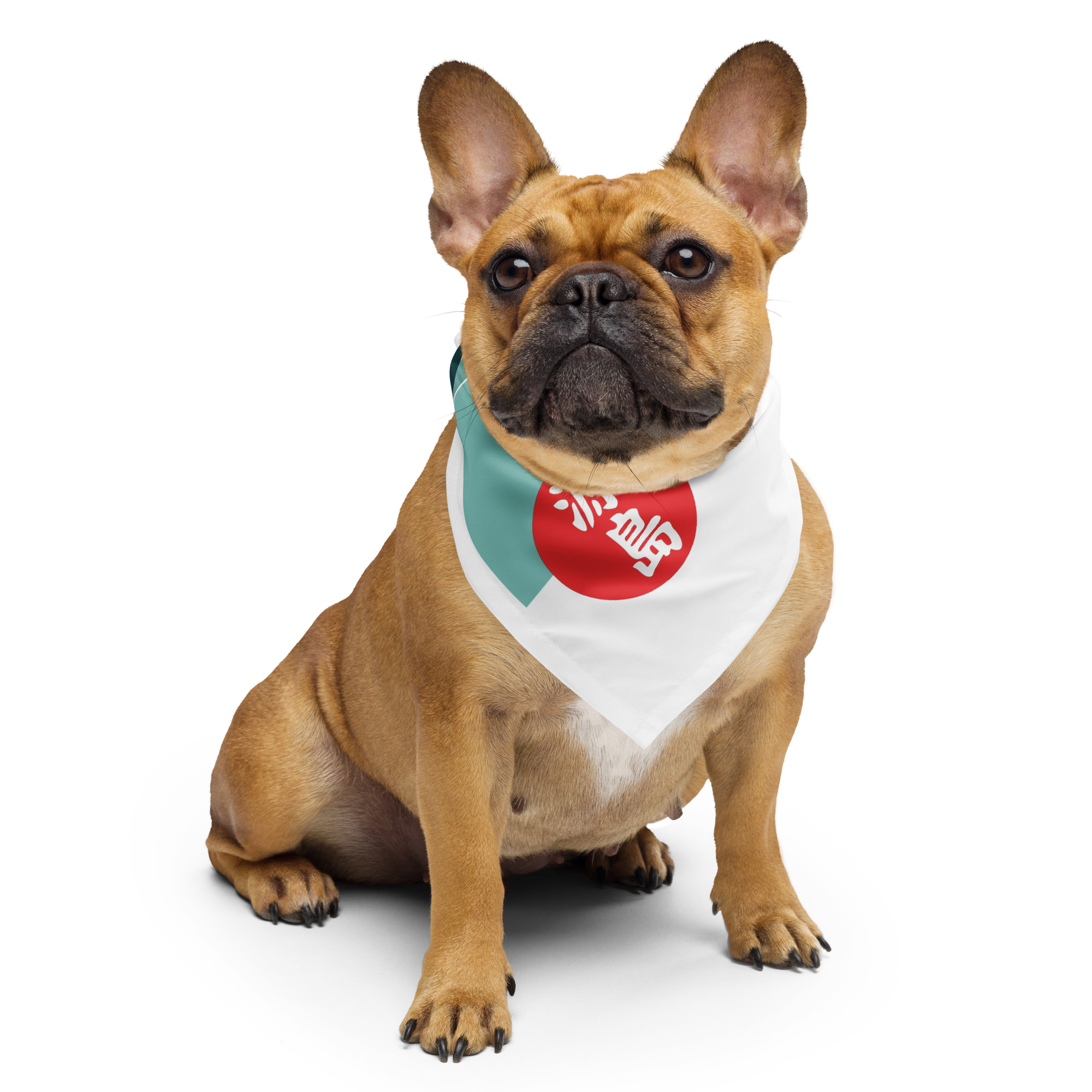 all-over-print-bandana-white-s-front-68f263ea51bc8.jpg