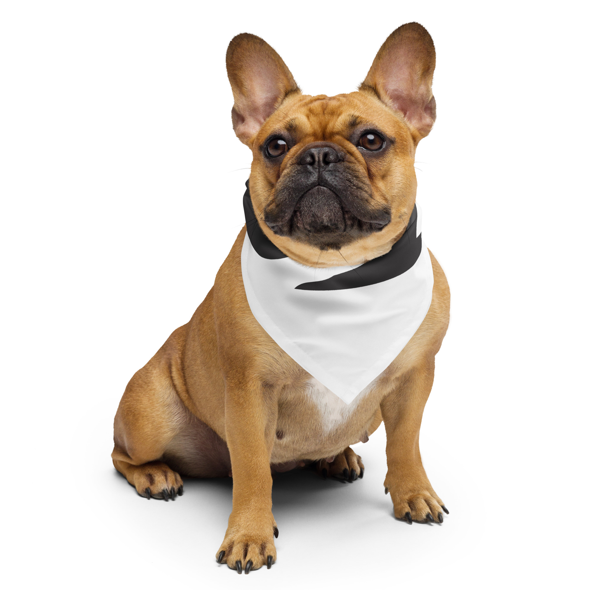 all-over-print-bandana-white-s-front-68f39b8baa768.jpg