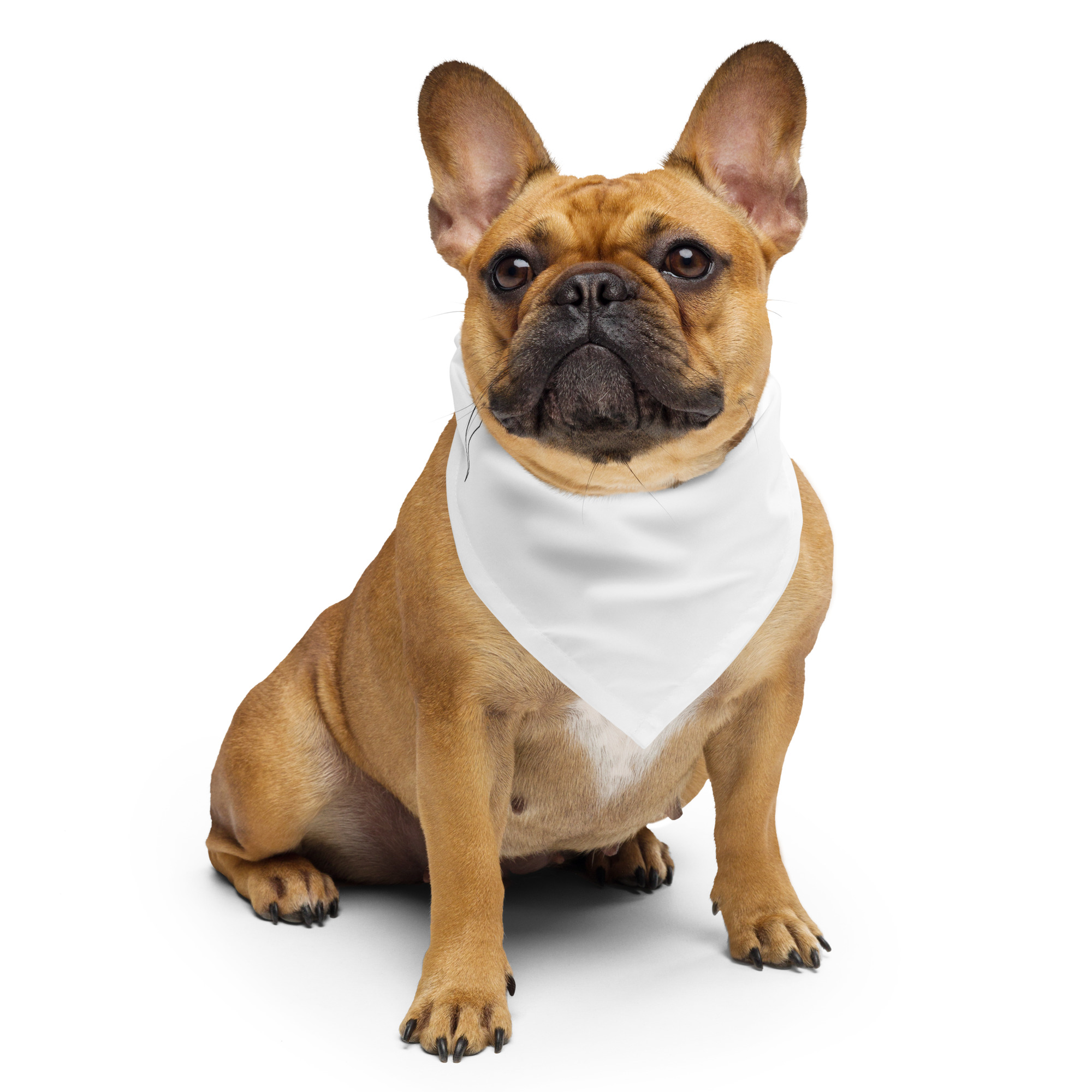 all-over-print-bandana-white-s-front-68f3c1d793fe3.jpg
