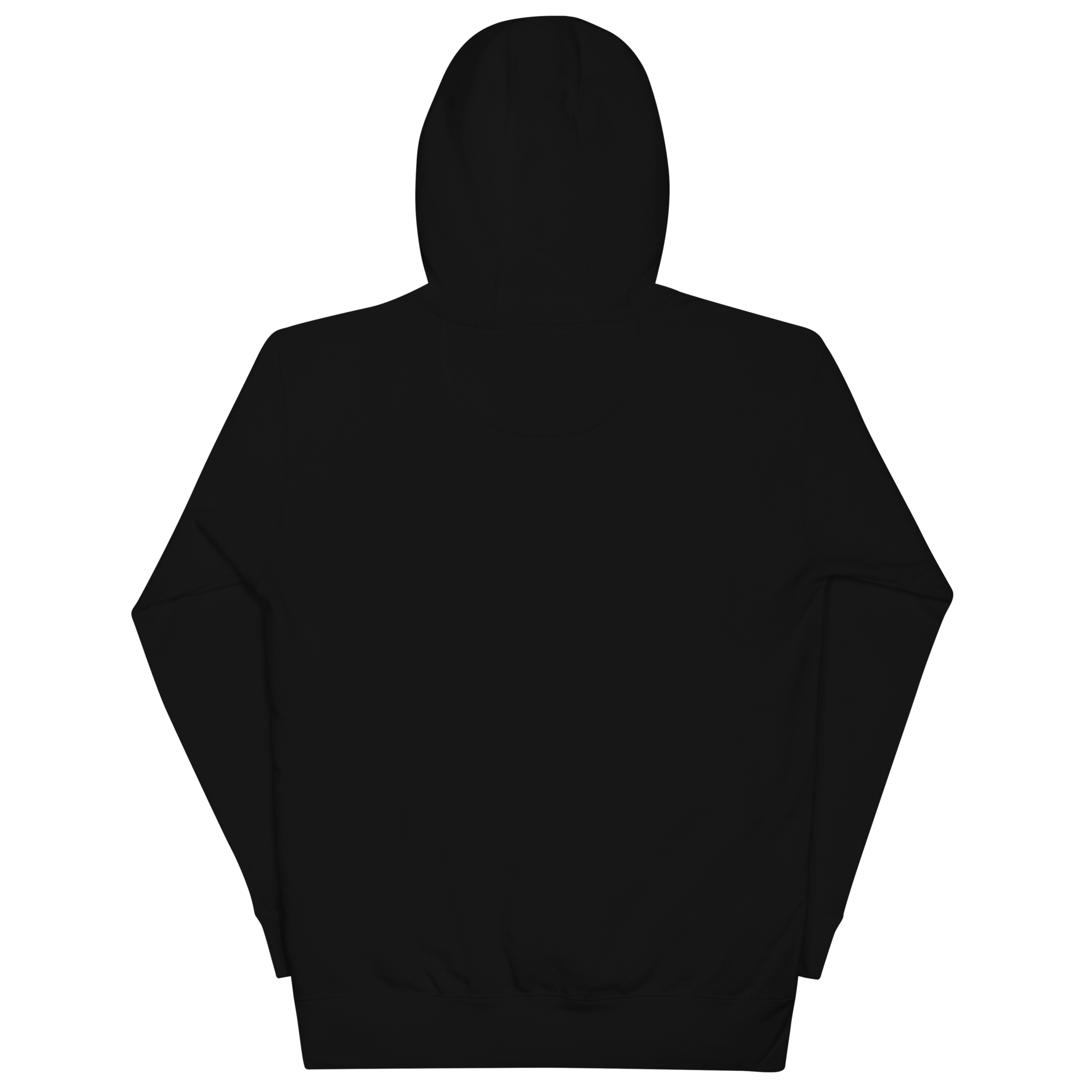 cotton-heritage-m2580-i-unisex-premium-pullover-hoodie-black-back-68f25496b7525.png