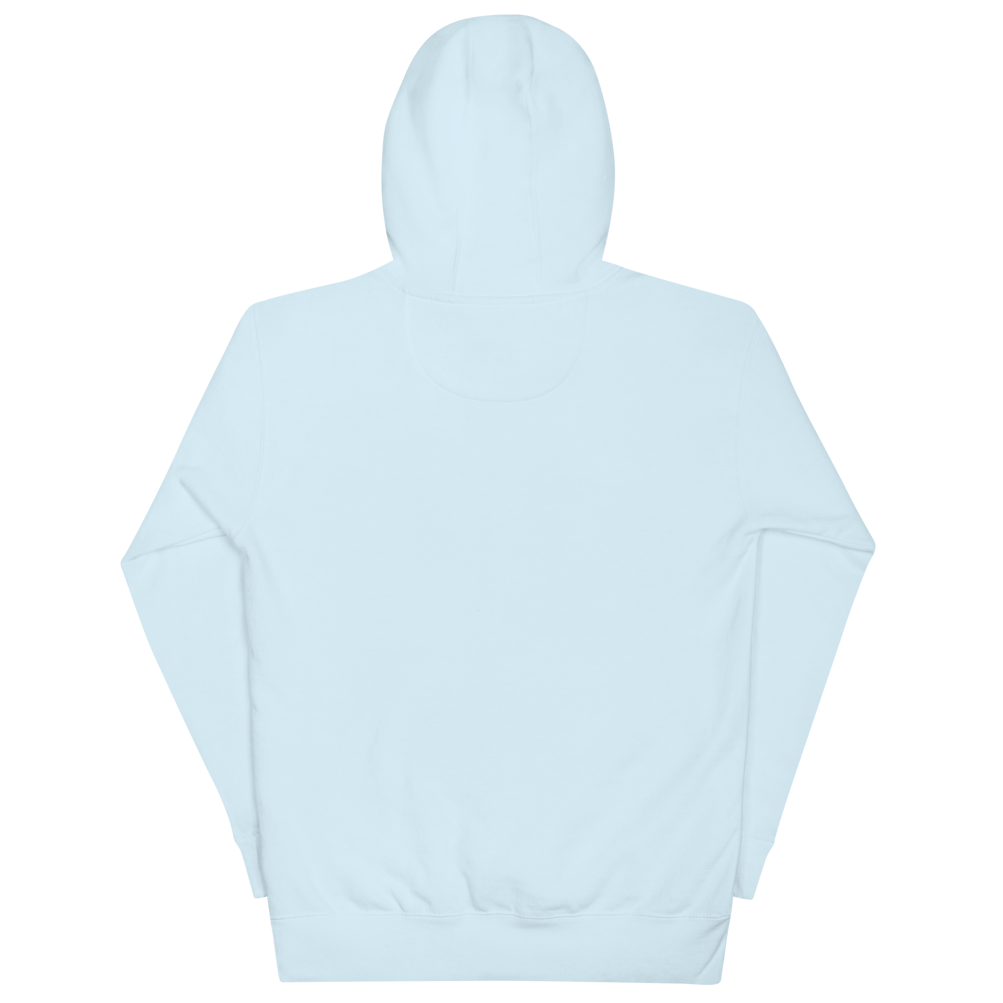 cotton-heritage-m2580-i-unisex-premium-pullover-hoodie-sky-blue-back-68f254972736a.png