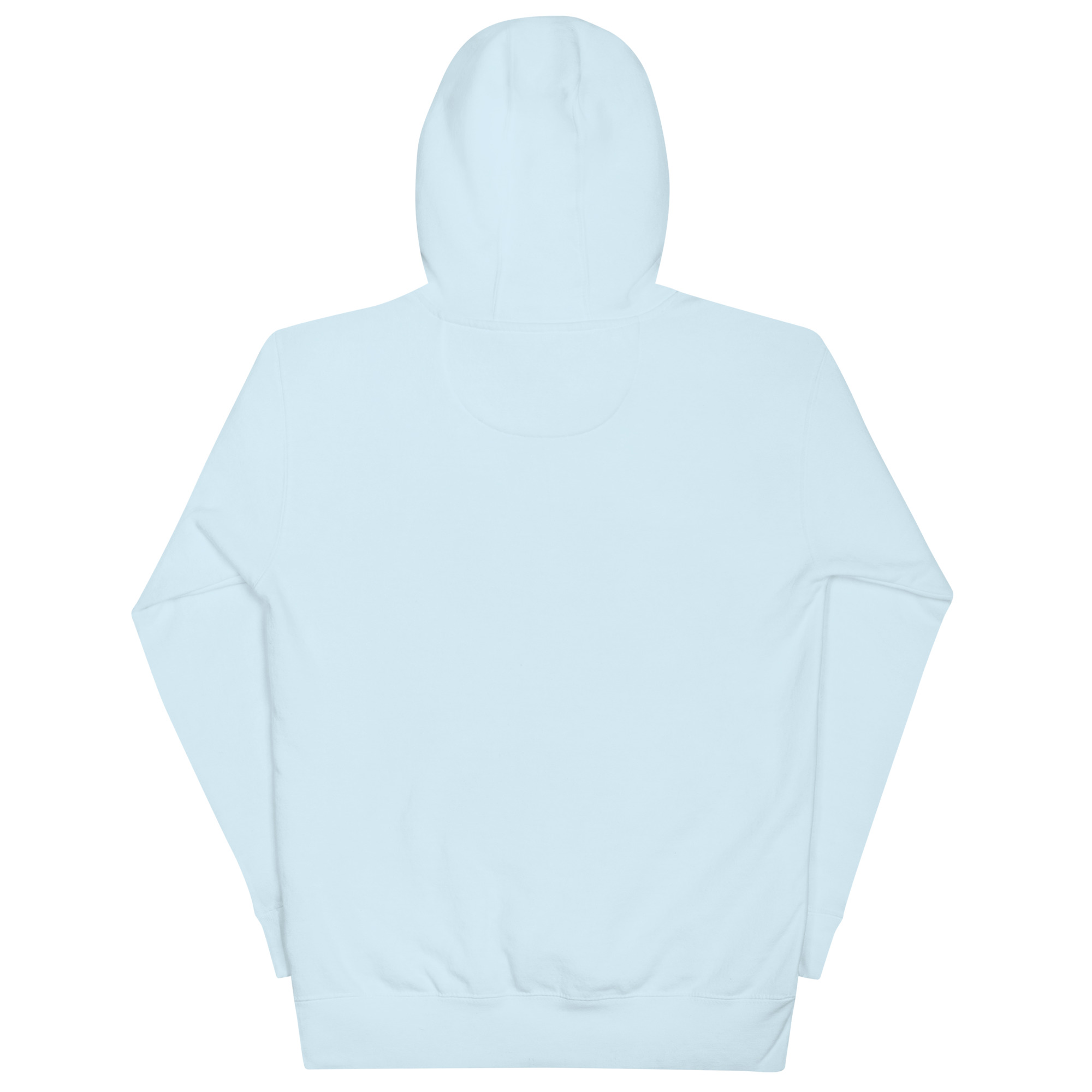 cotton-heritage-m2580-i-unisex-premium-pullover-hoodie-sky-blue-back-68f3af61a3676.jpg