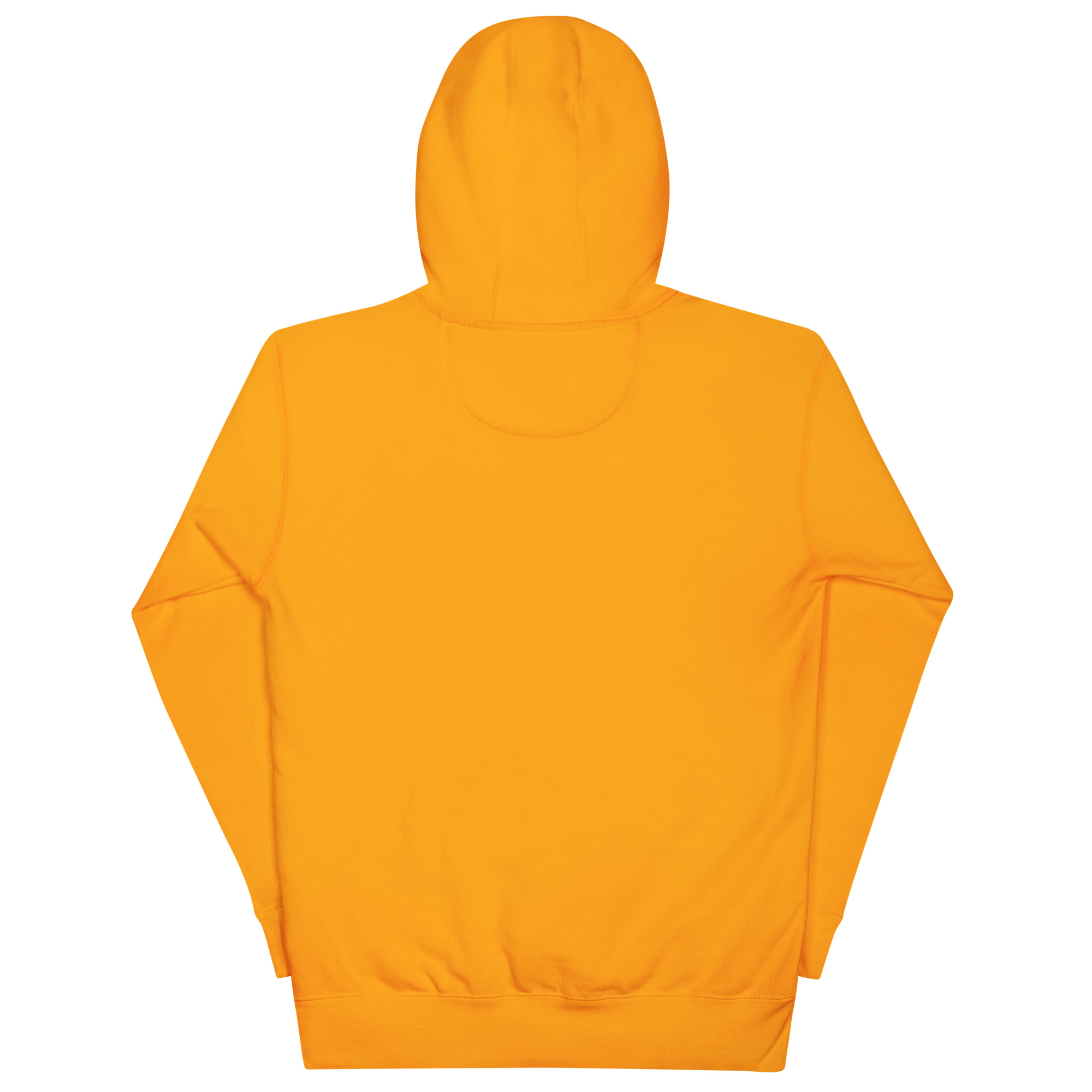 cotton-heritage-m2580-i-unisex-premium-pullover-hoodie-team-gold-back-68f8f2303bb66.jpg