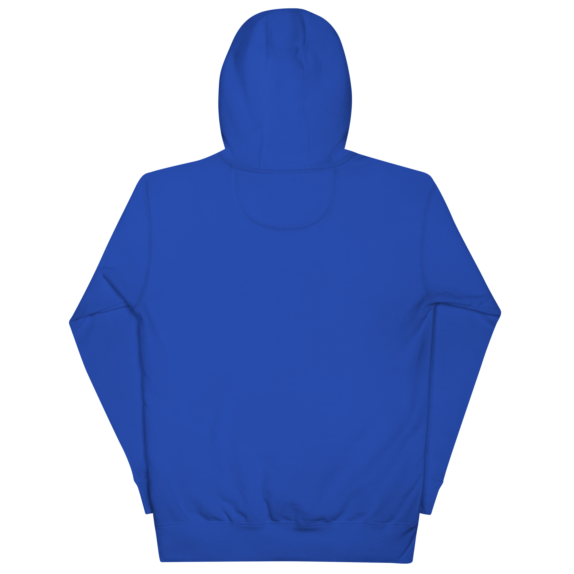 cotton-heritage-m2580-i-unisex-premium-pullover-hoodie-team-royal-back-68f25496cbd00.png
