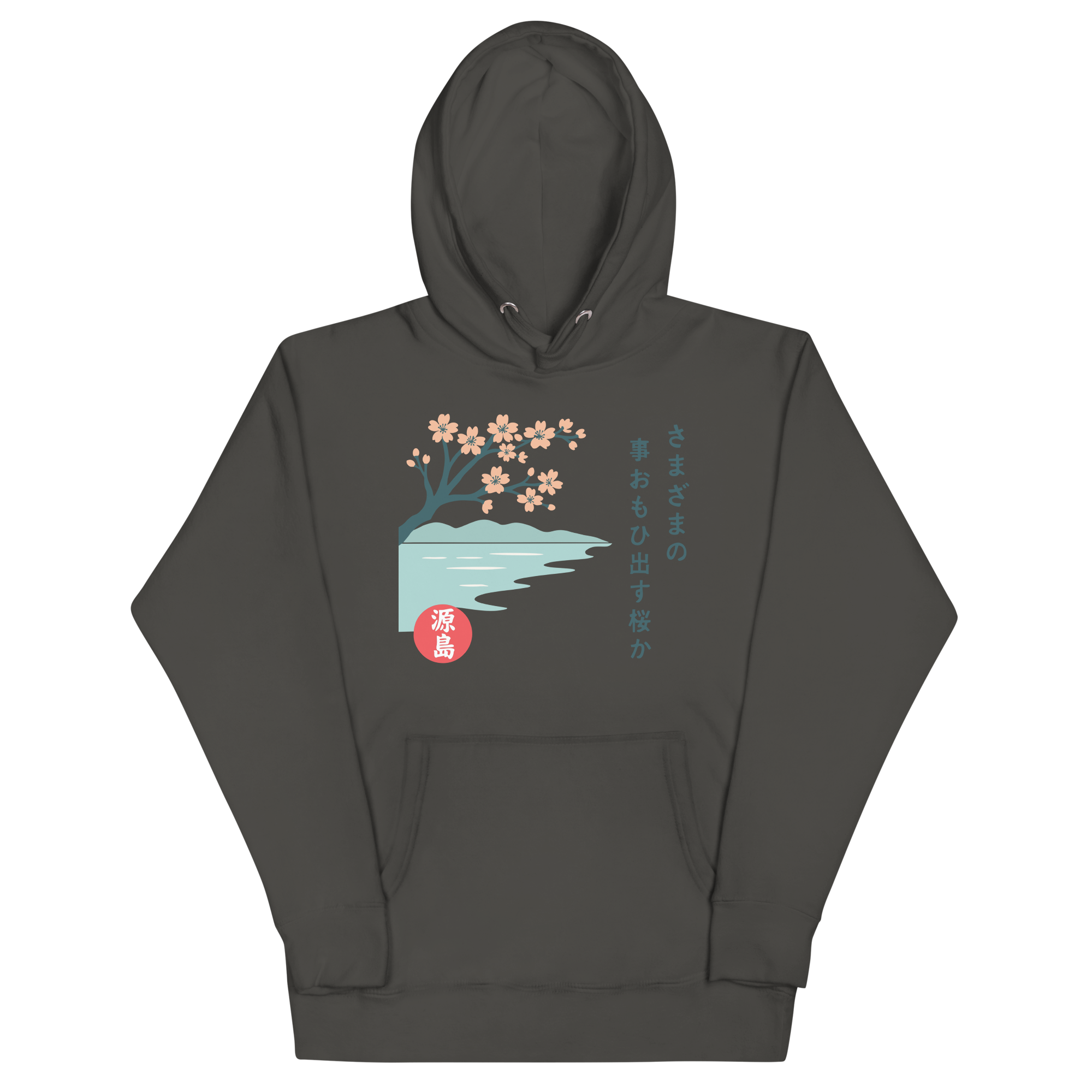 cotton-heritage-m2580-i-unisex-premium-pullover-hoodie-vintage-black-front-68f25496c3152.png