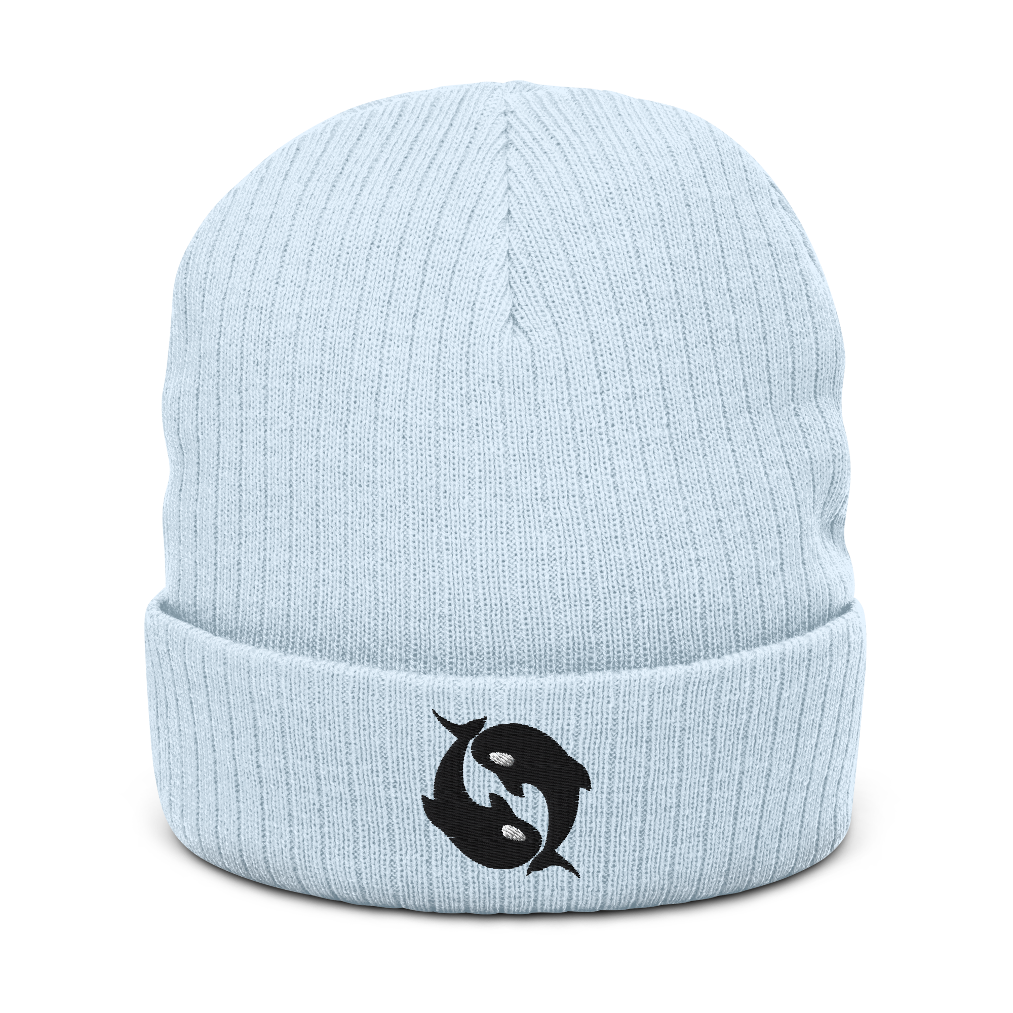 ribbed-knit-beanie-light-blue-front-68f1148d94408.png