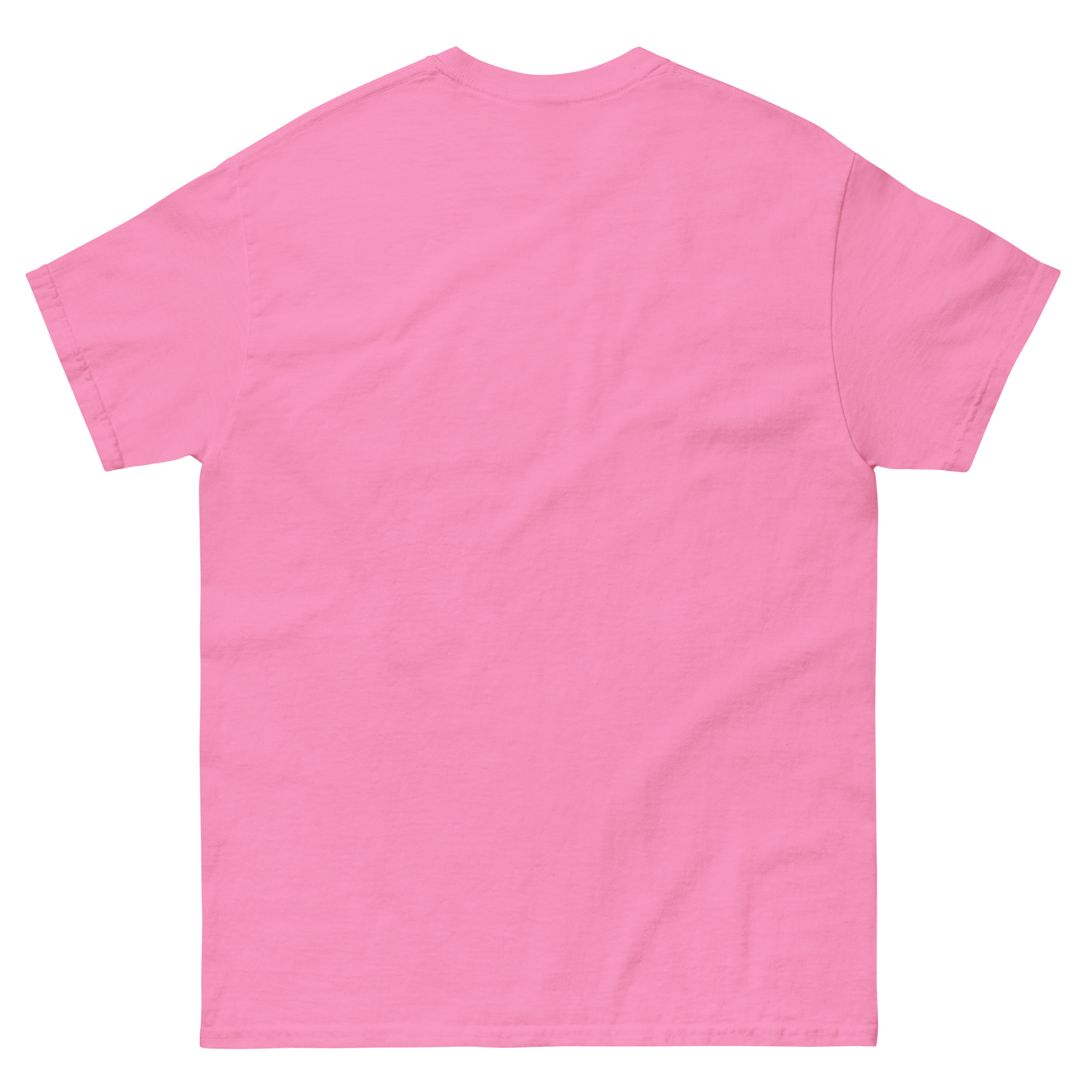 unisex-classic-tee-azalea-back-68ed2b14a8274.jpg