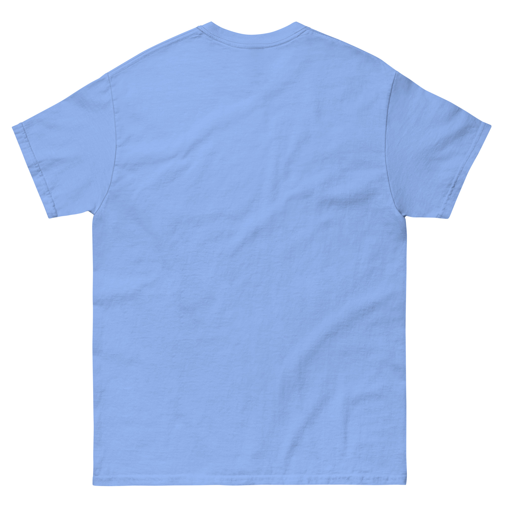 unisex-classic-tee-carolina-blue-back-68f3a91b3c5e6.jpg