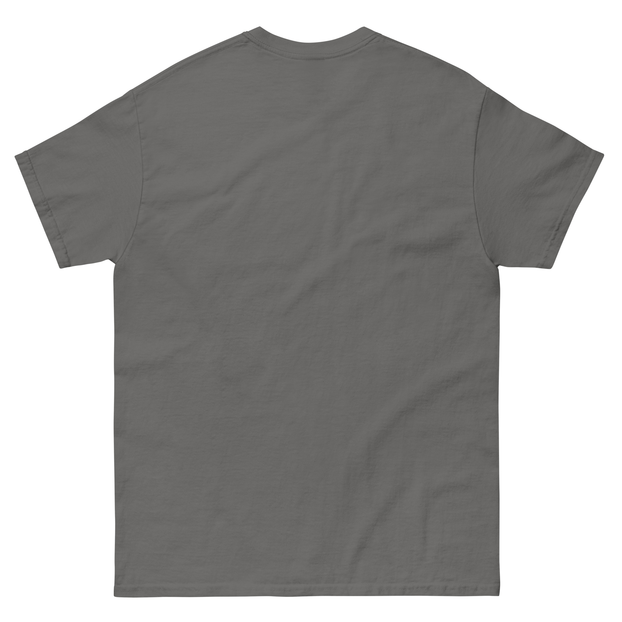 unisex-classic-tee-charcoal-back-68ed2b146b892.jpg
