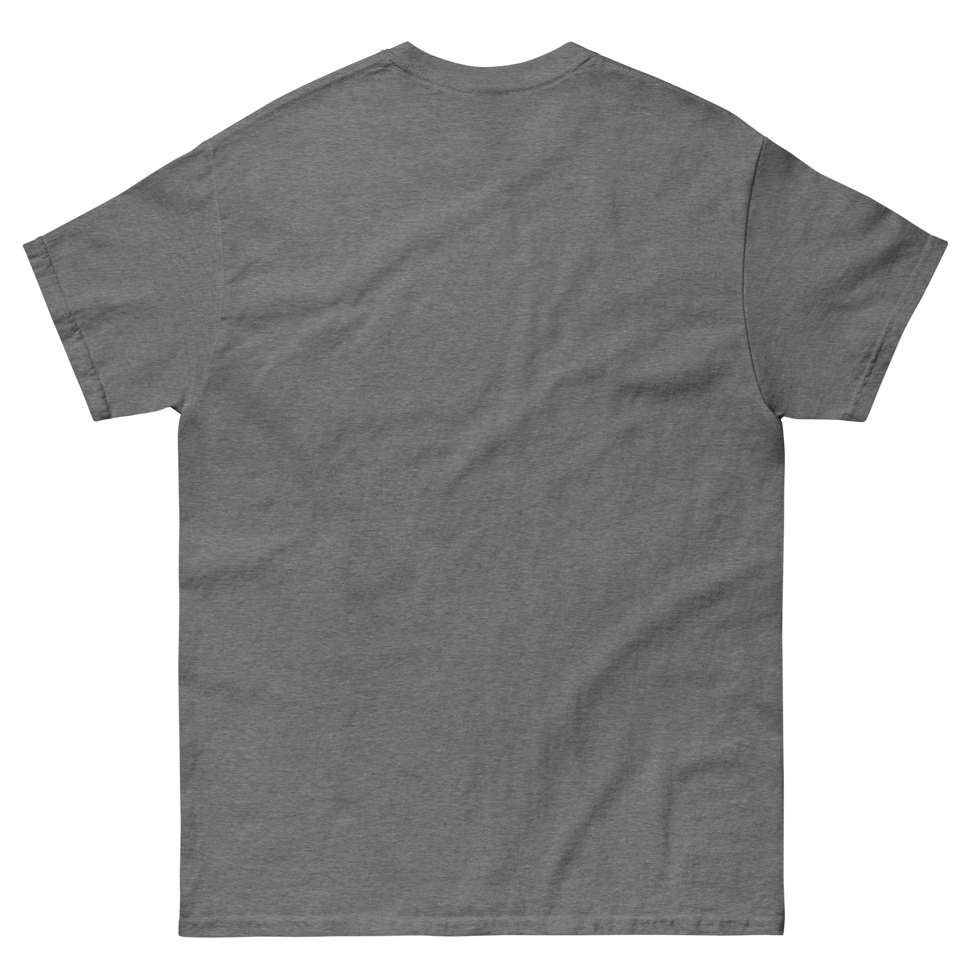 unisex-classic-tee-graphite-heather-back-68f250e54b3b3.jpg