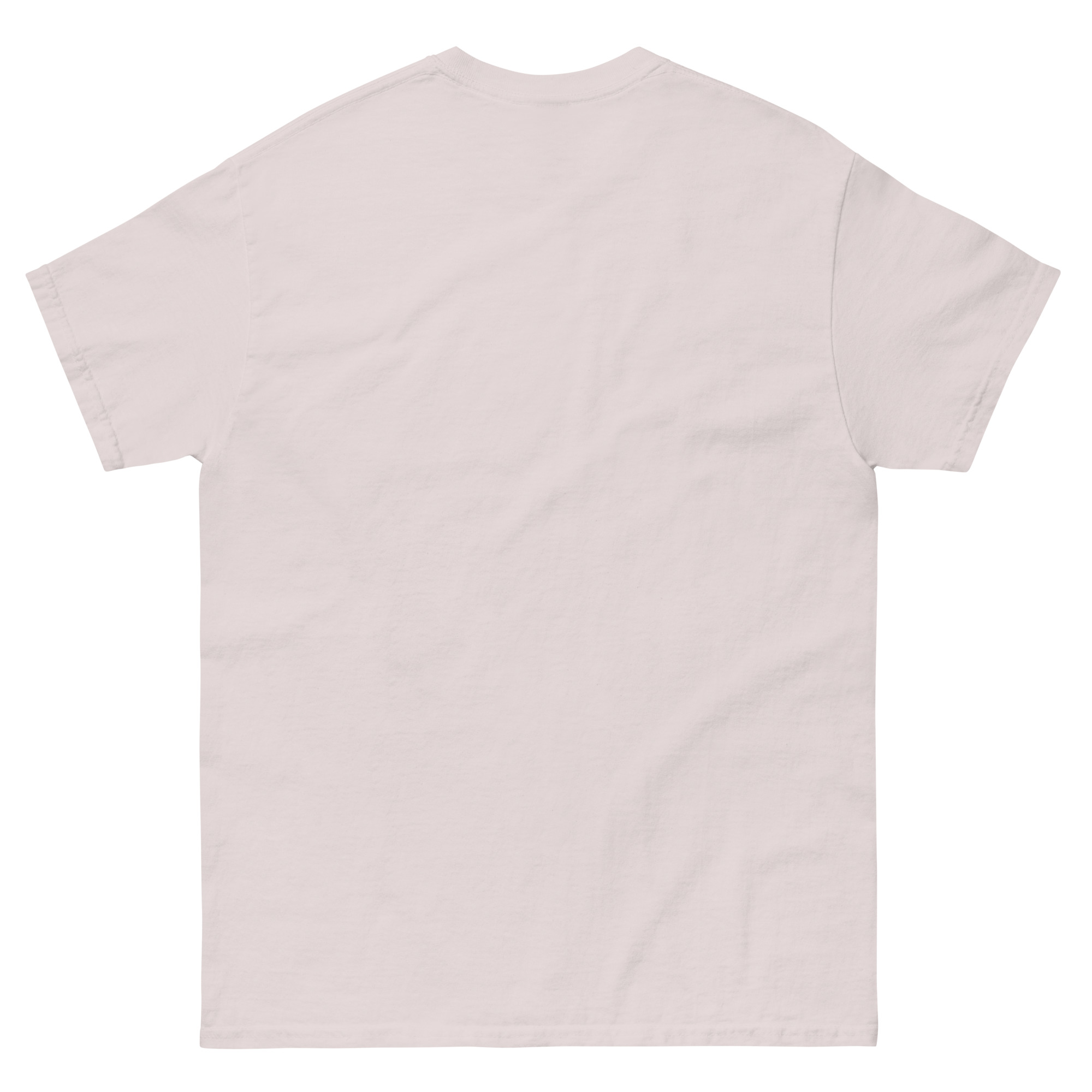 unisex-classic-tee-ice-grey-back-68f3a91be1d7b.jpg