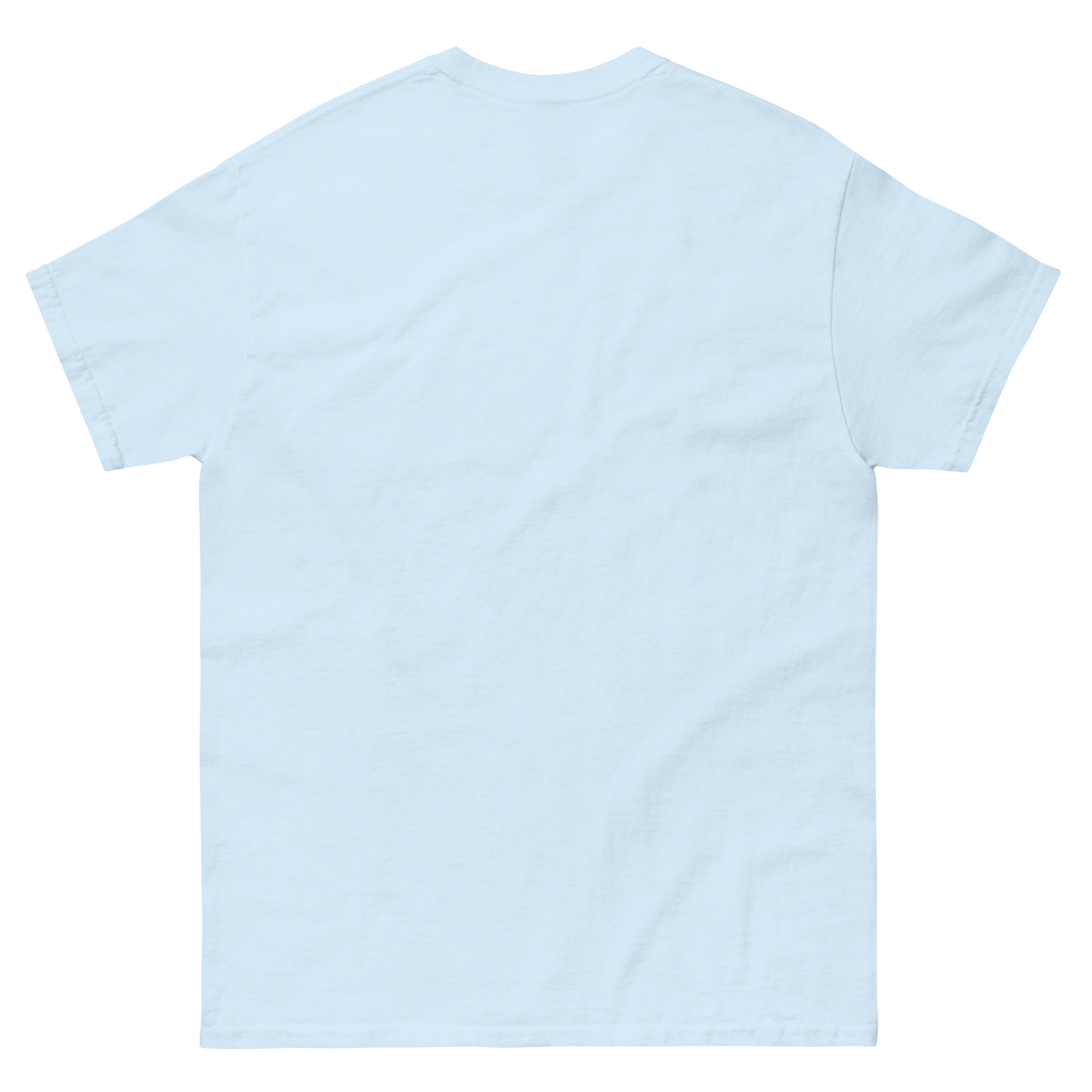 unisex-classic-tee-light-blue-back-68f3a91c04356.jpg