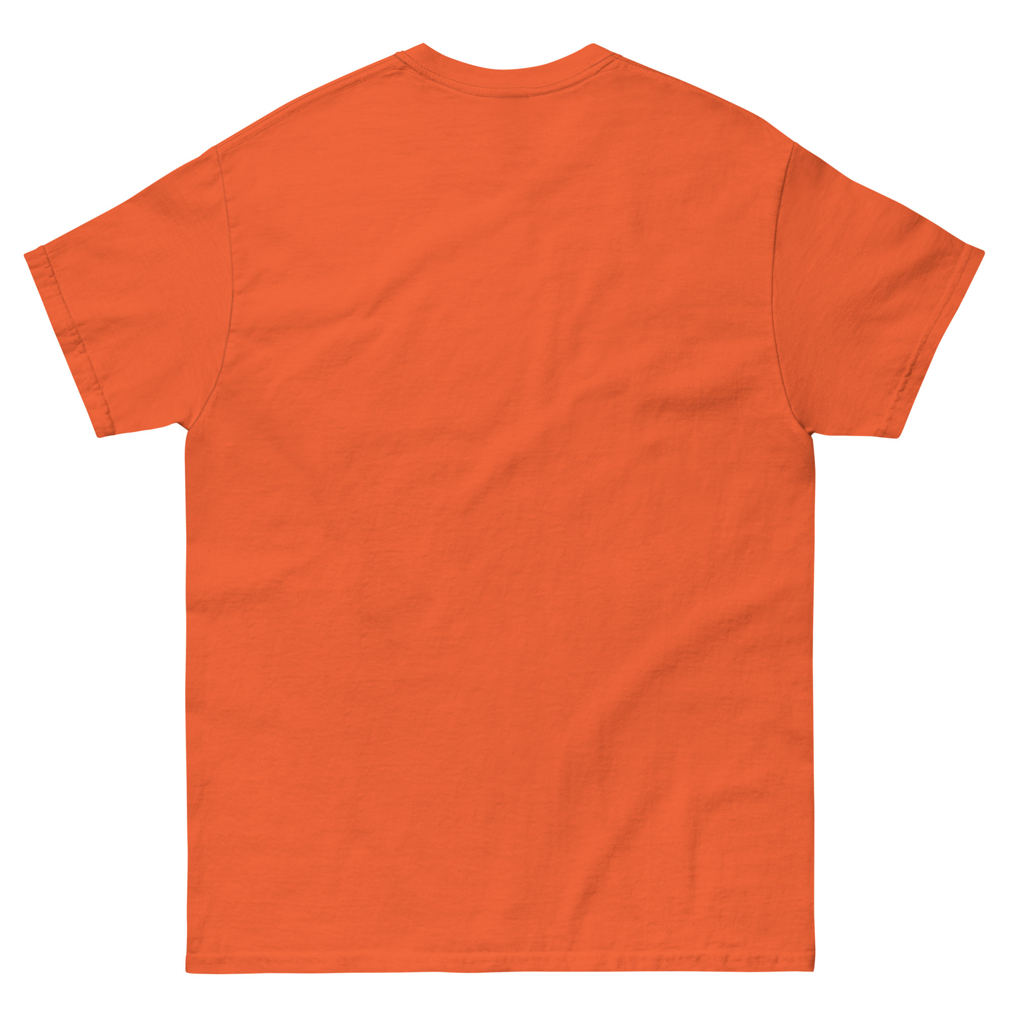 unisex-classic-tee-orange-back-68f3a91aea4f8.jpg