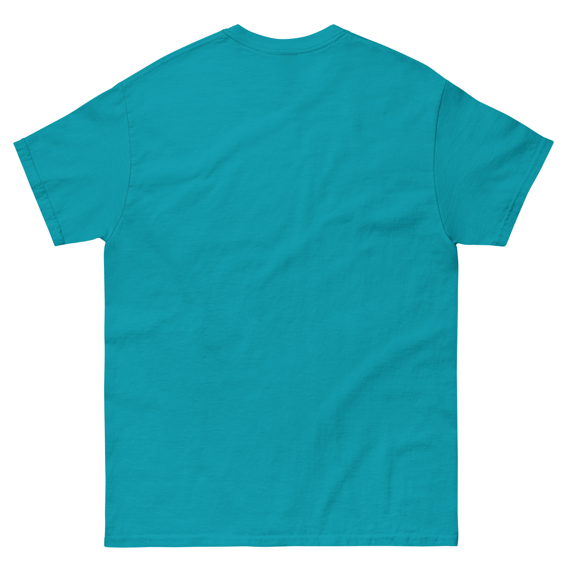 unisex-classic-tee-tropical-blue-back-68f3a91b08c16.jpg