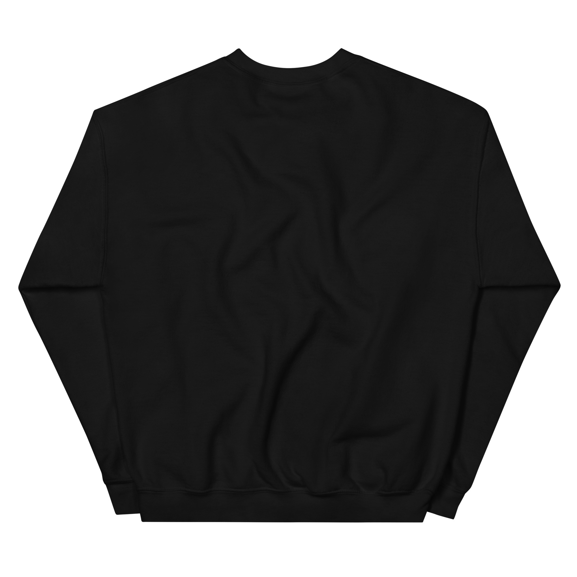 unisex-crew-neck-sweatshirt-black-back-68f3b03db3caa.jpg