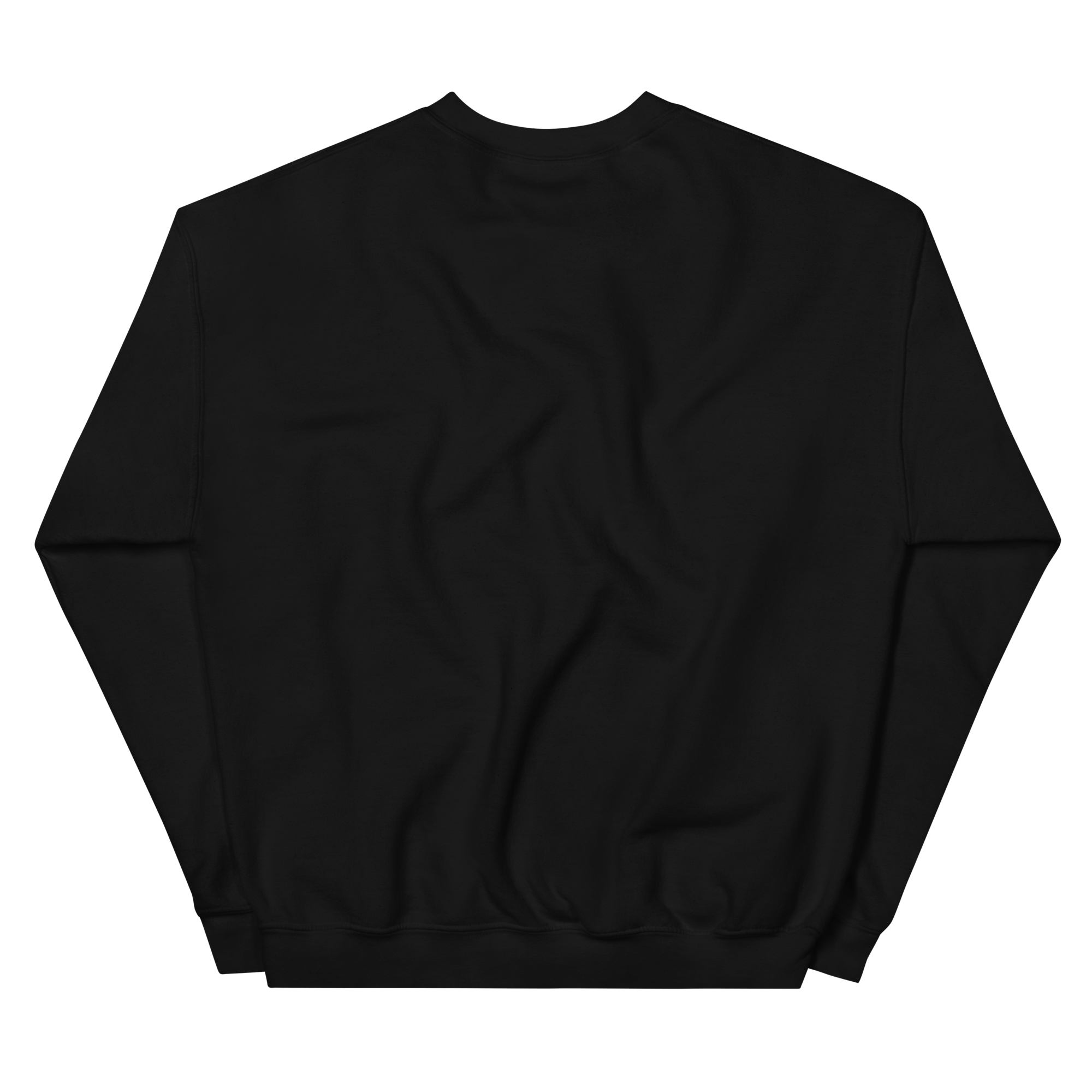 unisex-crew-neck-sweatshirt-black-back-68f3b627ca522.png
