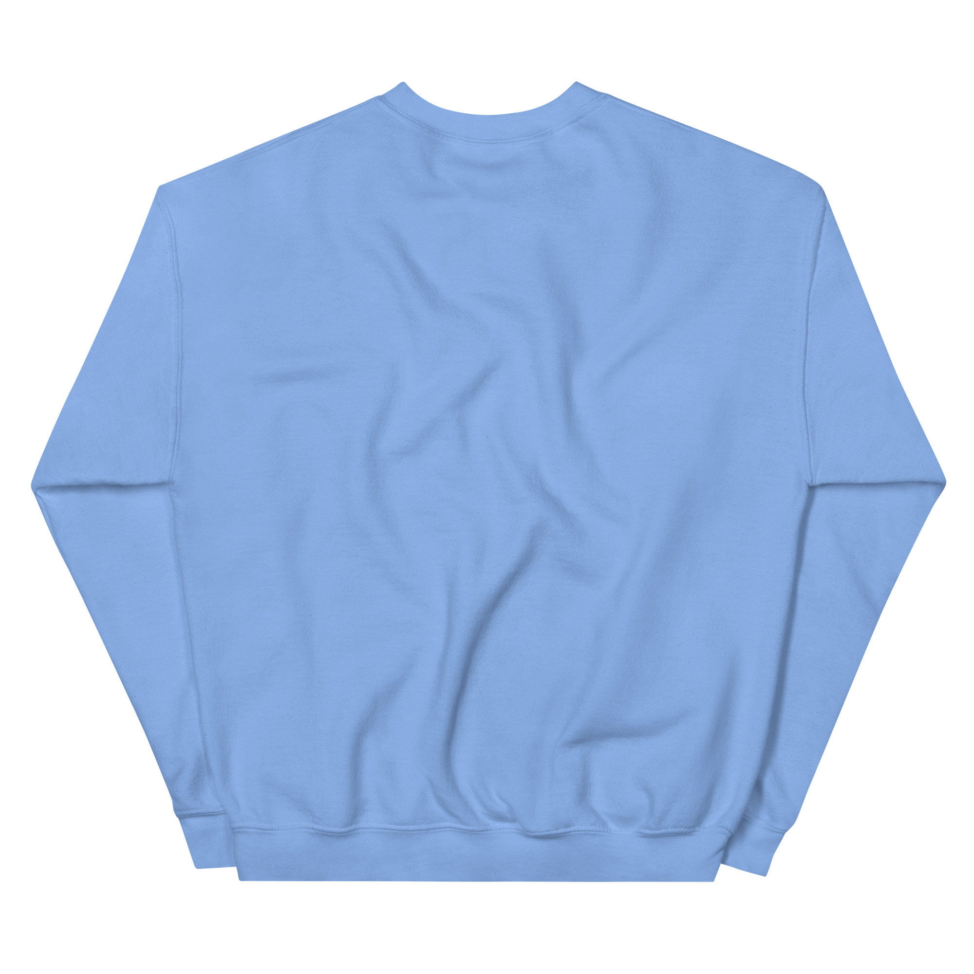 unisex-crew-neck-sweatshirt-carolina-blue-back-68f25bf8cc1f0.jpg