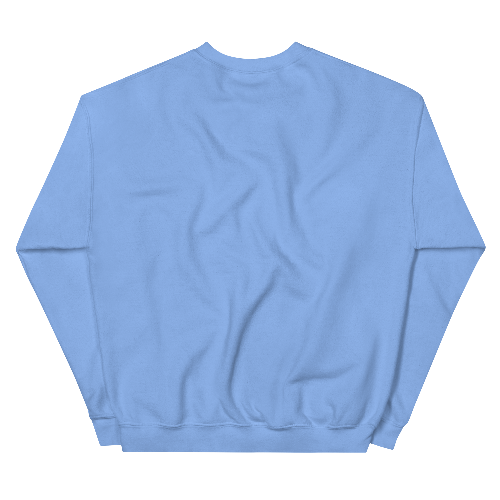 unisex-crew-neck-sweatshirt-carolina-blue-back-68f3b62923f73.png