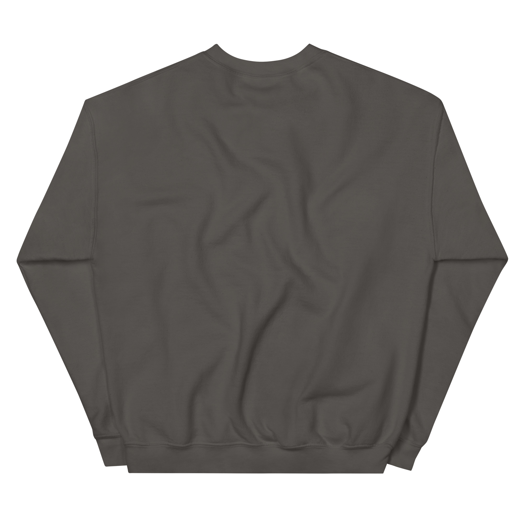 unisex-crew-neck-sweatshirt-charcoal-back-68f25bf7dbf22.jpg