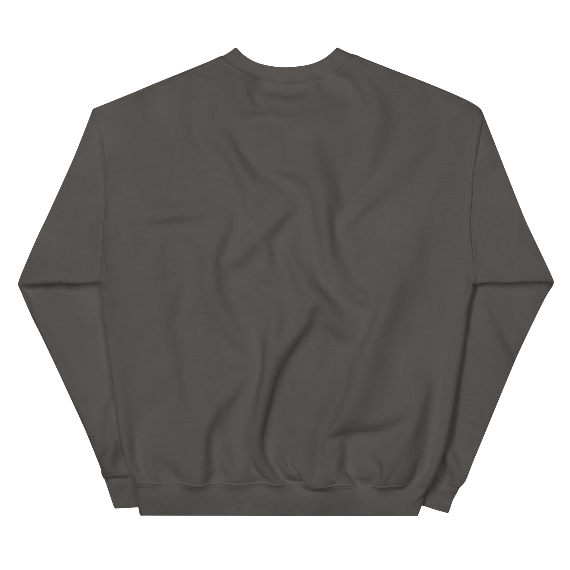 unisex-crew-neck-sweatshirt-charcoal-back-68f3b62830593.png