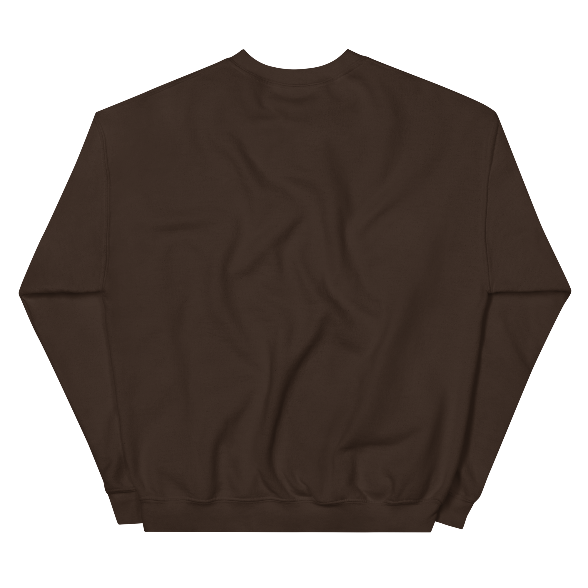 unisex-crew-neck-sweatshirt-dark-chocolate-back-68f3b627d2140.png