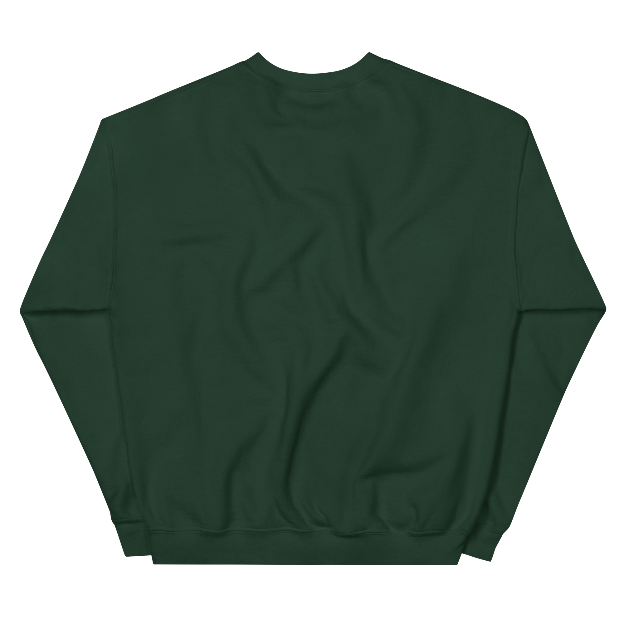 unisex-crew-neck-sweatshirt-forest-green-back-68f3b627ea363.png