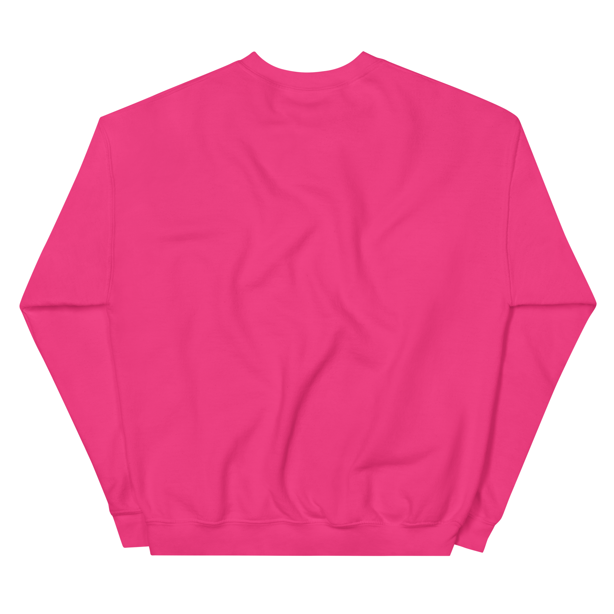 unisex-crew-neck-sweatshirt-heliconia-back-68f3b6285a9f0.png