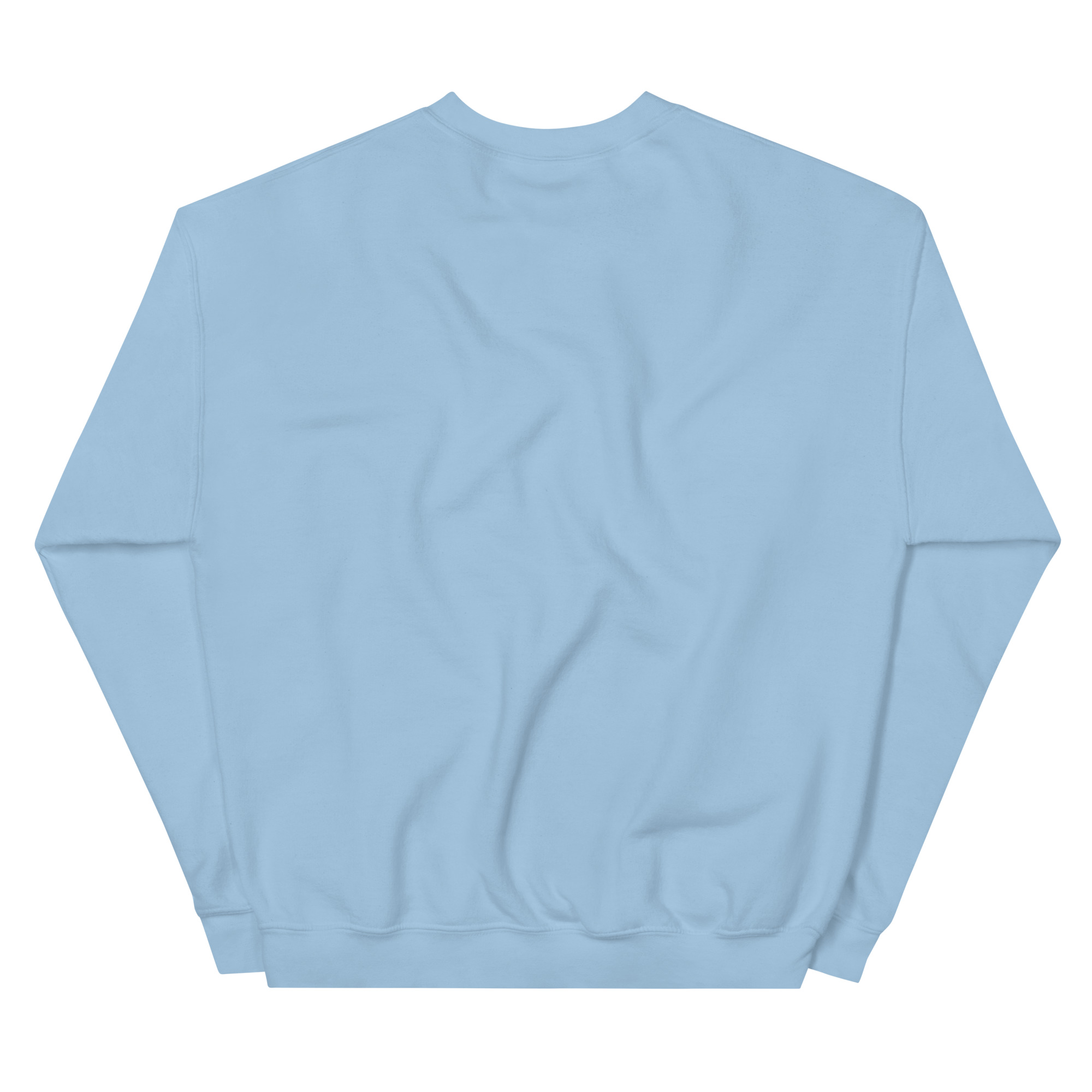 unisex-crew-neck-sweatshirt-light-blue-back-68f25bf949d57.jpg