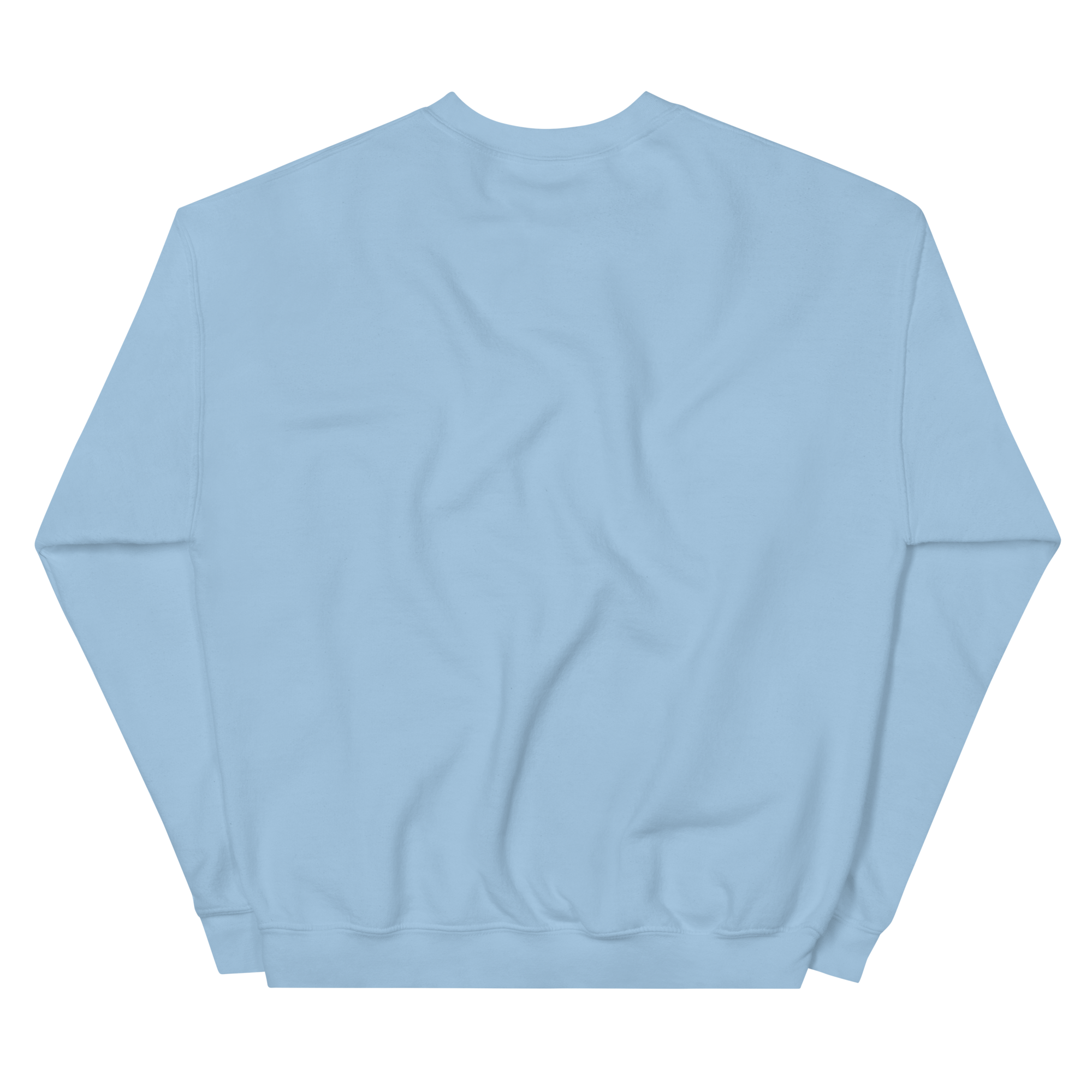 unisex-crew-neck-sweatshirt-light-blue-back-68f3b6296da15.png