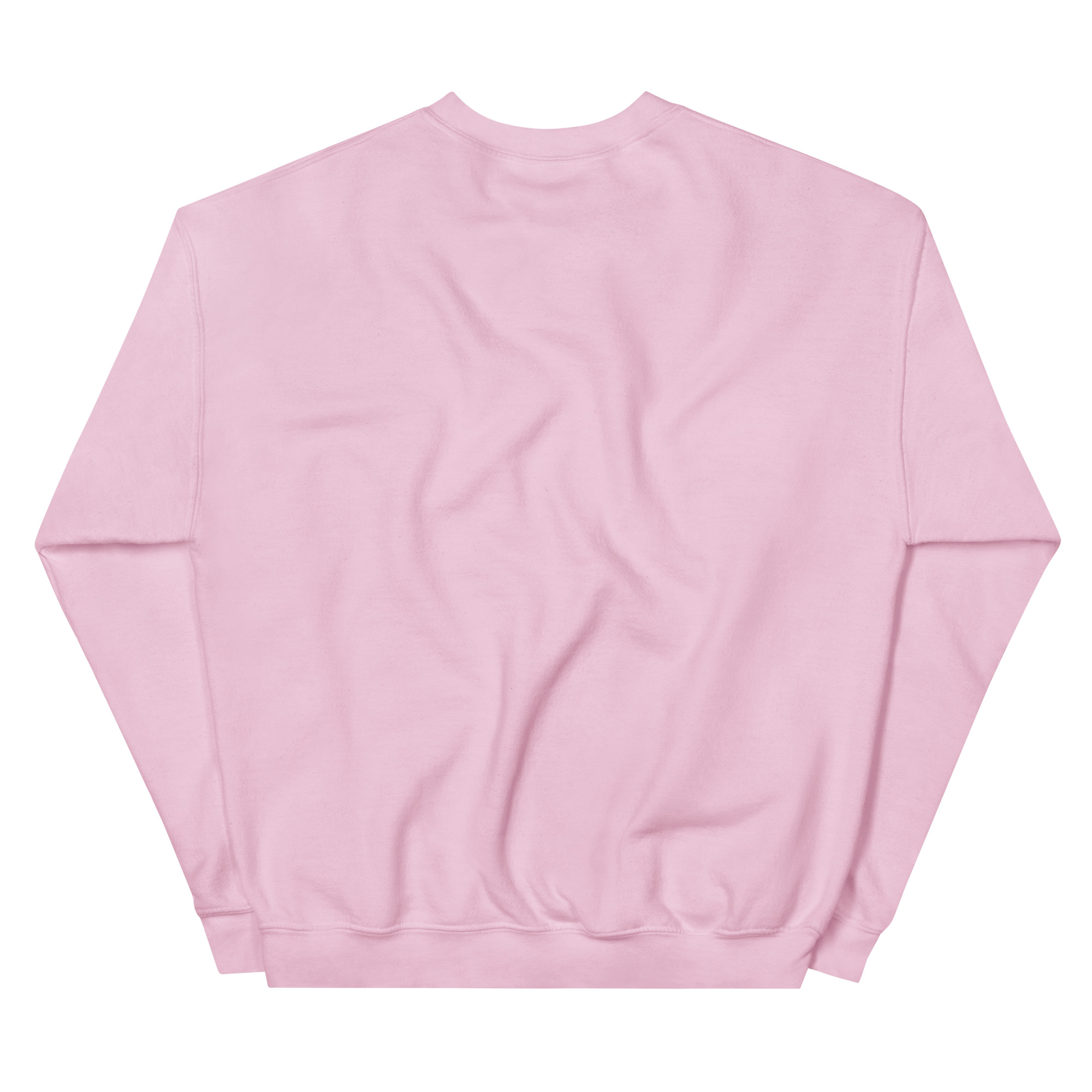 unisex-crew-neck-sweatshirt-light-pink-back-68f3b03fb5777.jpg