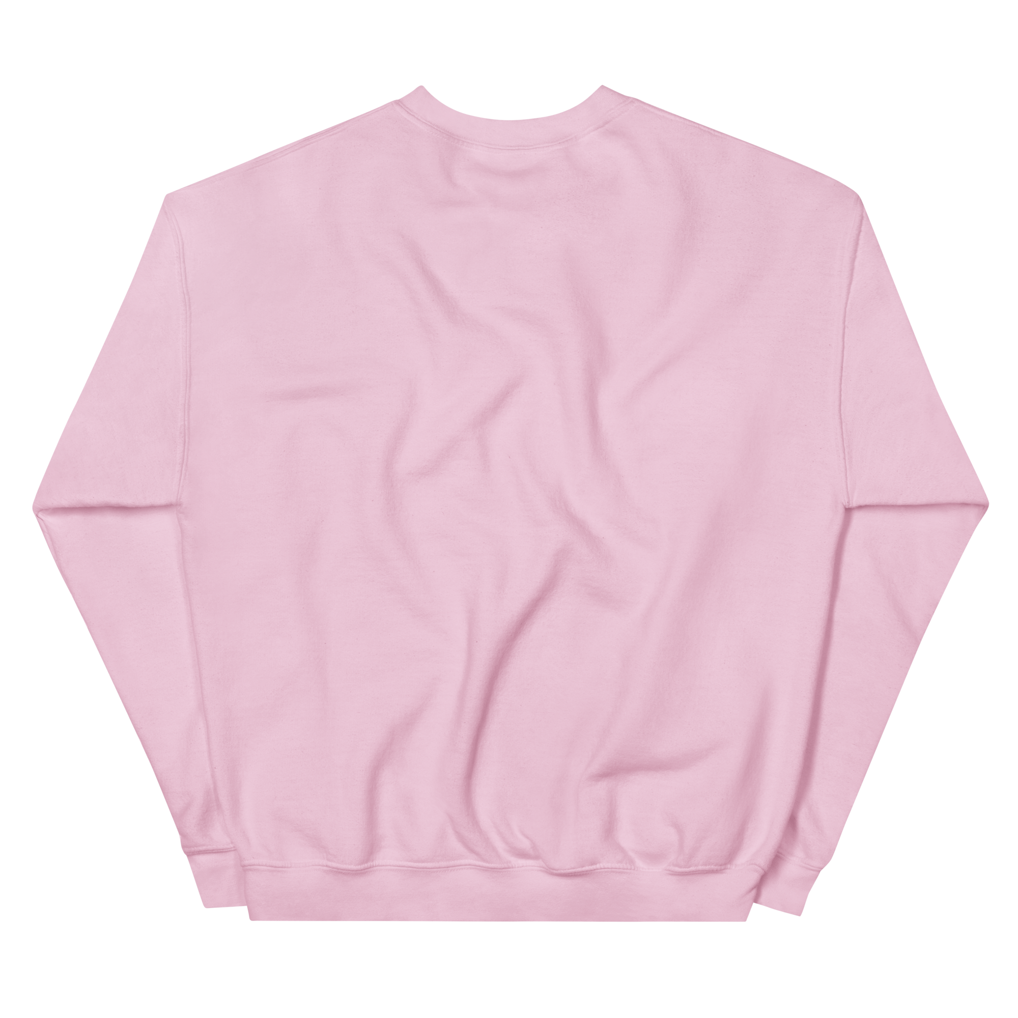 unisex-crew-neck-sweatshirt-light-pink-back-68f3b629e9e13.png