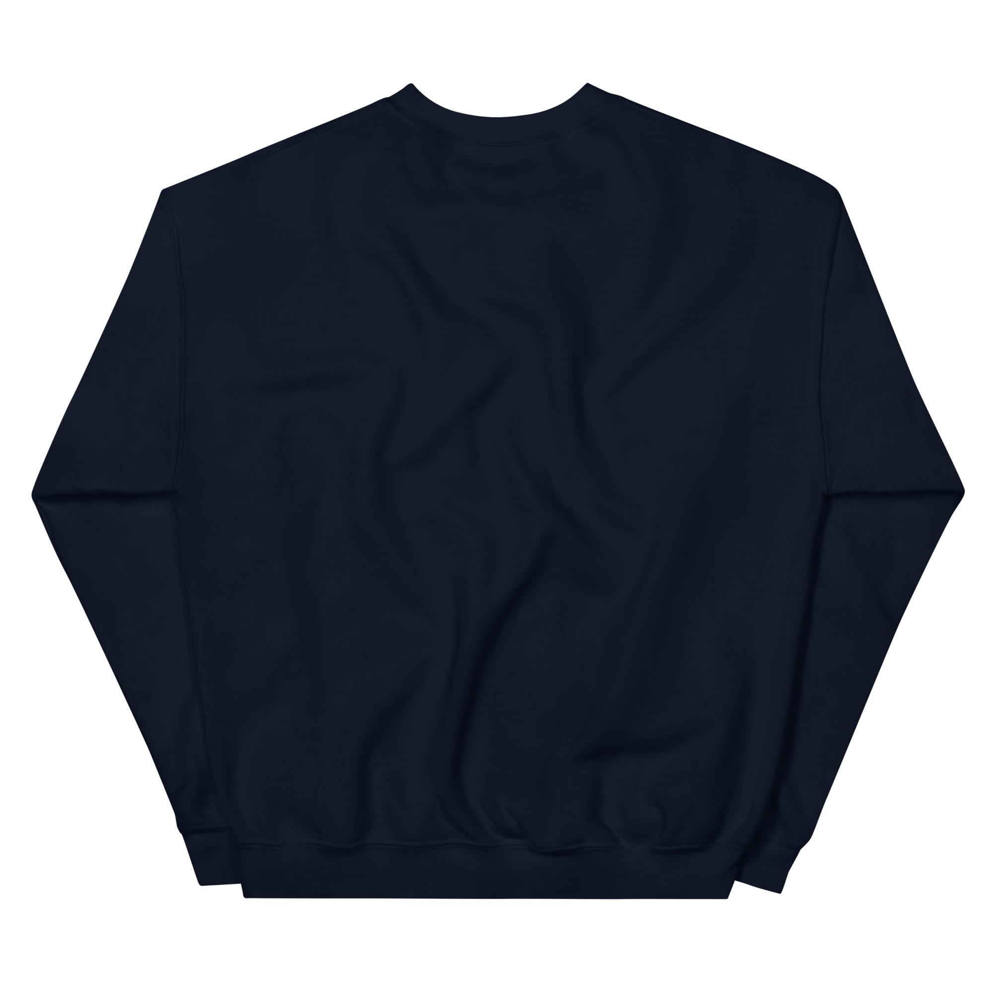 unisex-crew-neck-sweatshirt-navy-back-68f3b627cd2d6.png