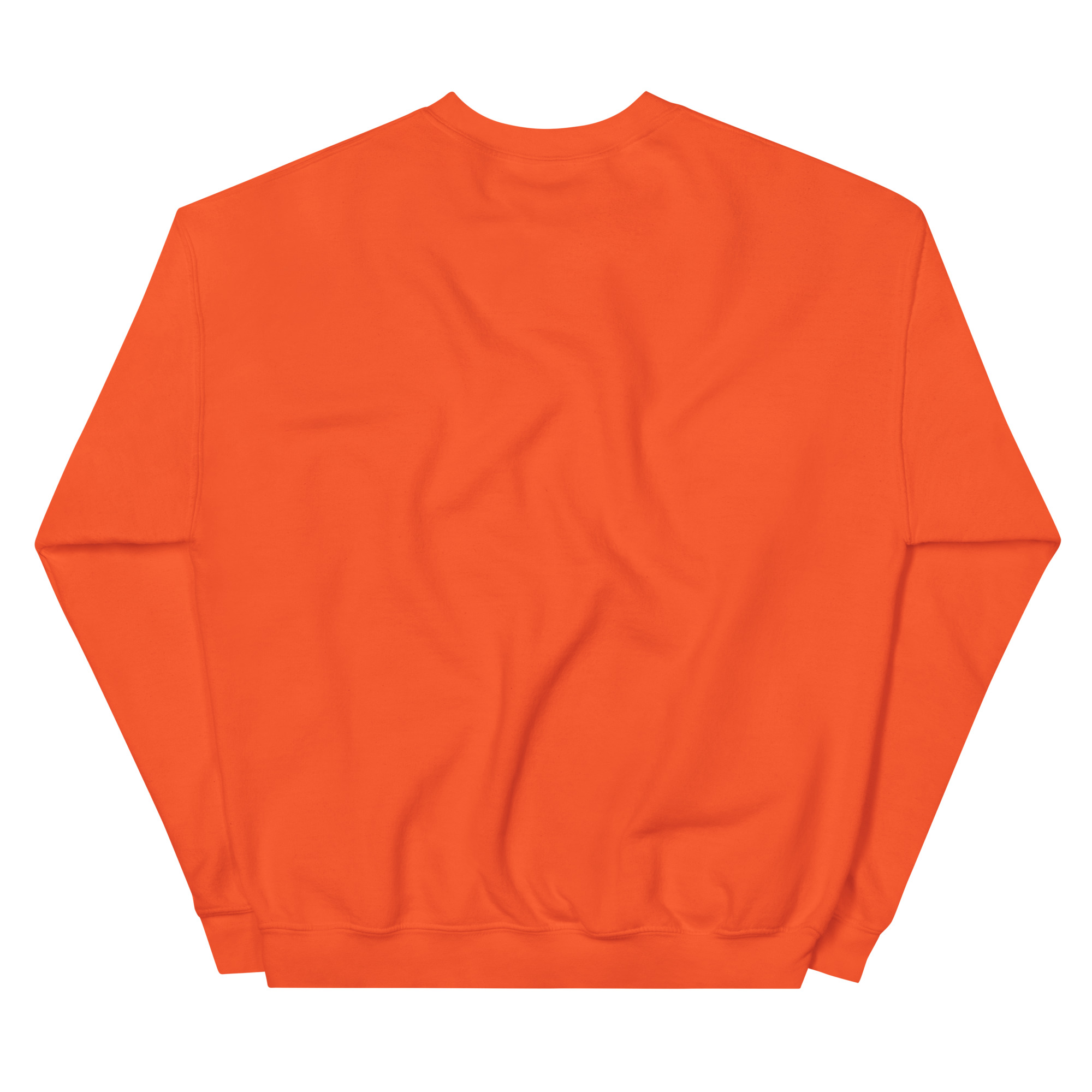 unisex-crew-neck-sweatshirt-orange-back-68f25bf84c33e.jpg