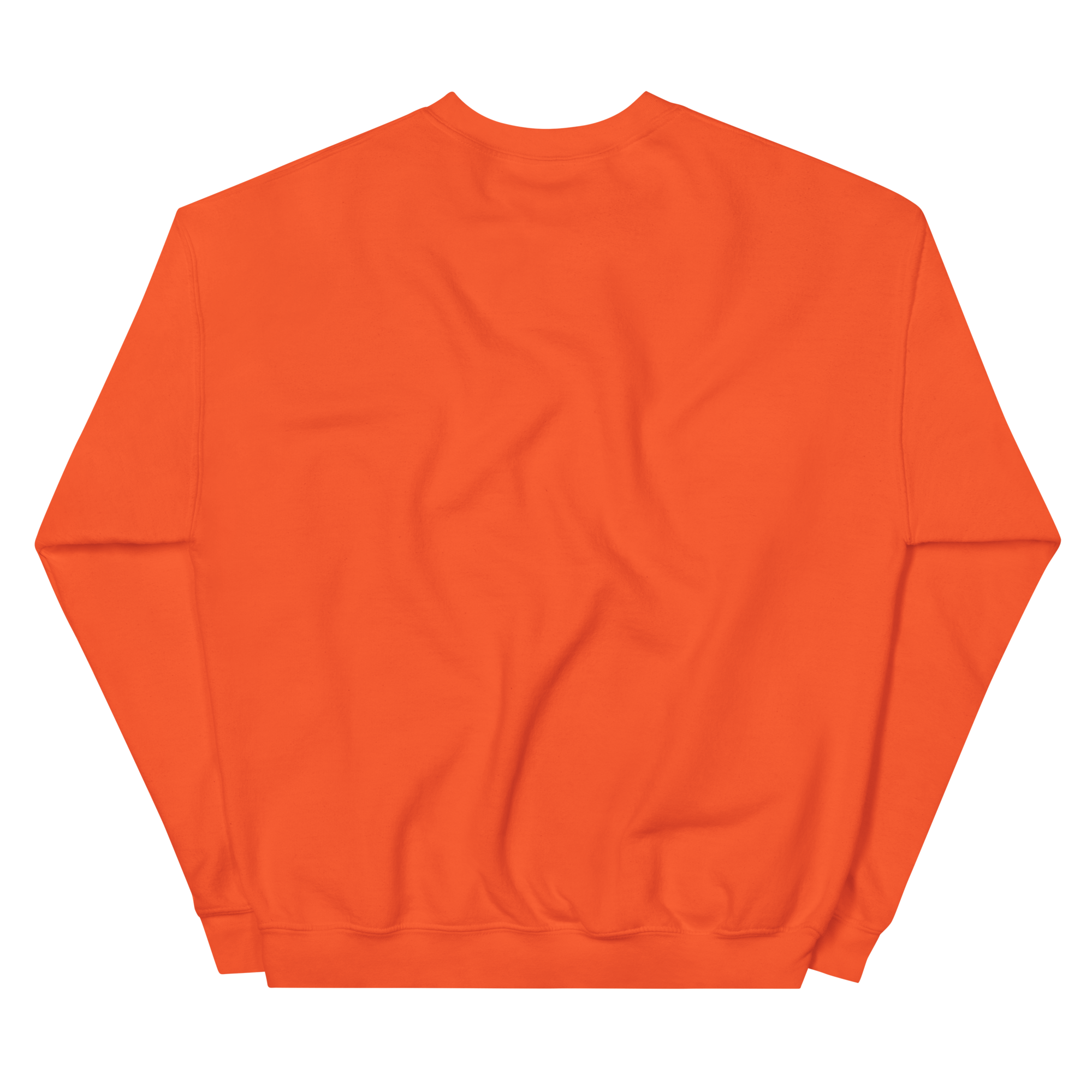 unisex-crew-neck-sweatshirt-orange-back-68f3b62891786.png