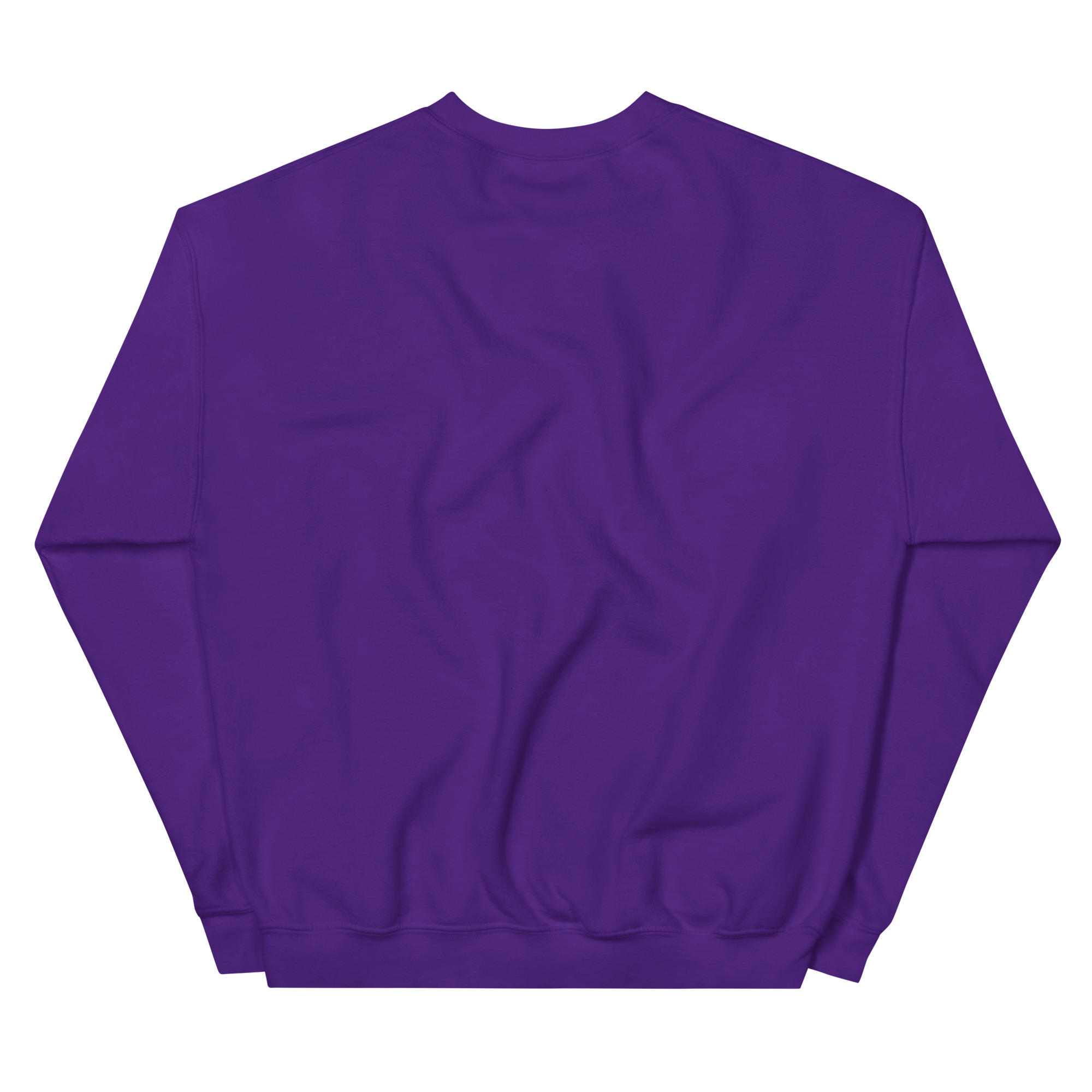 unisex-crew-neck-sweatshirt-purple-back-68f3b03dc411c.jpg
