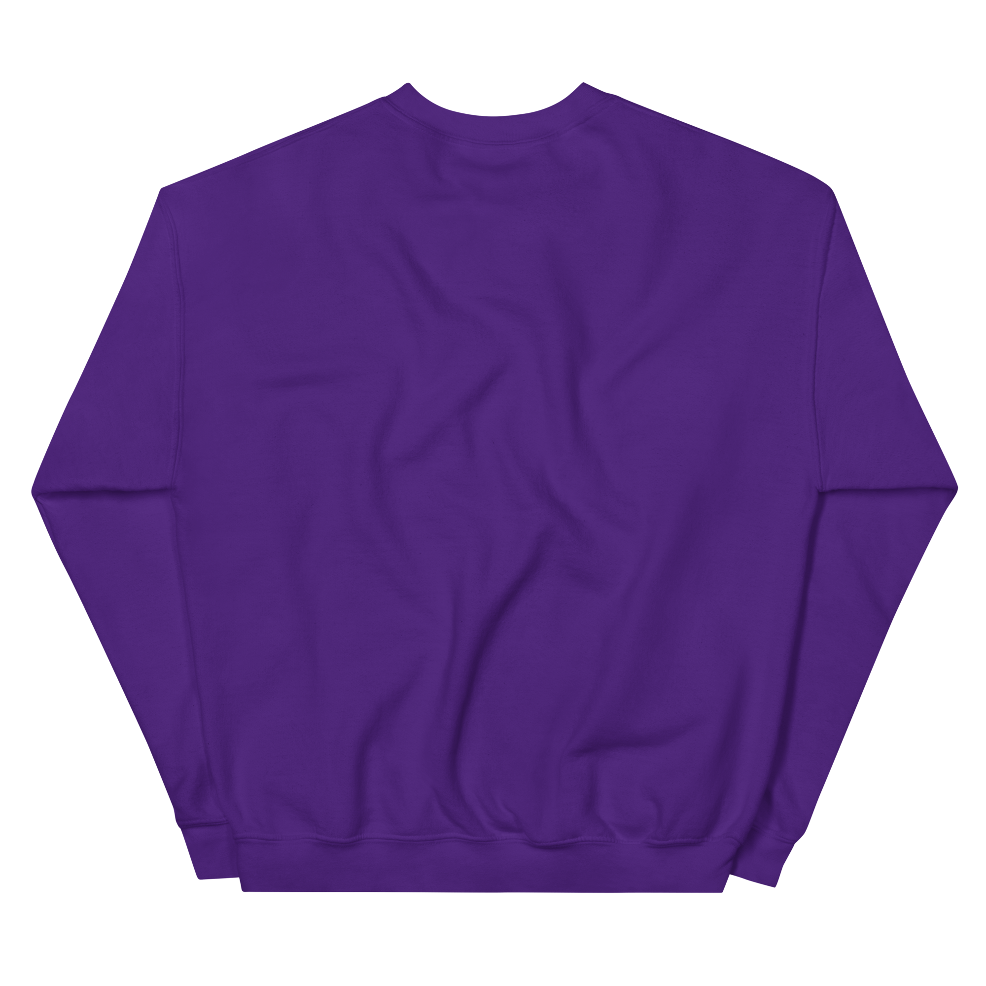 unisex-crew-neck-sweatshirt-purple-back-68f3b627d890b.png