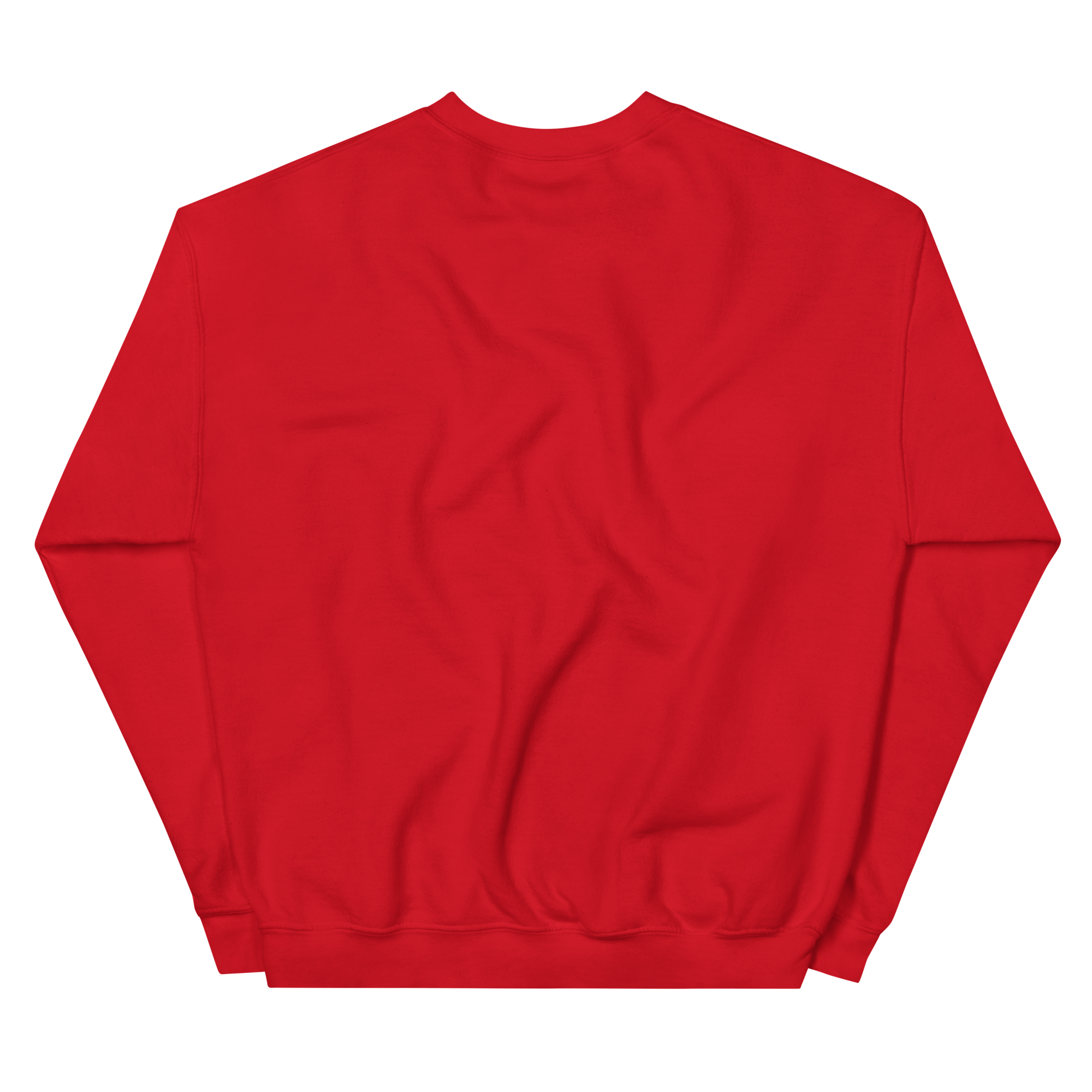 unisex-crew-neck-sweatshirt-red-back-68f3b62801ccc.png