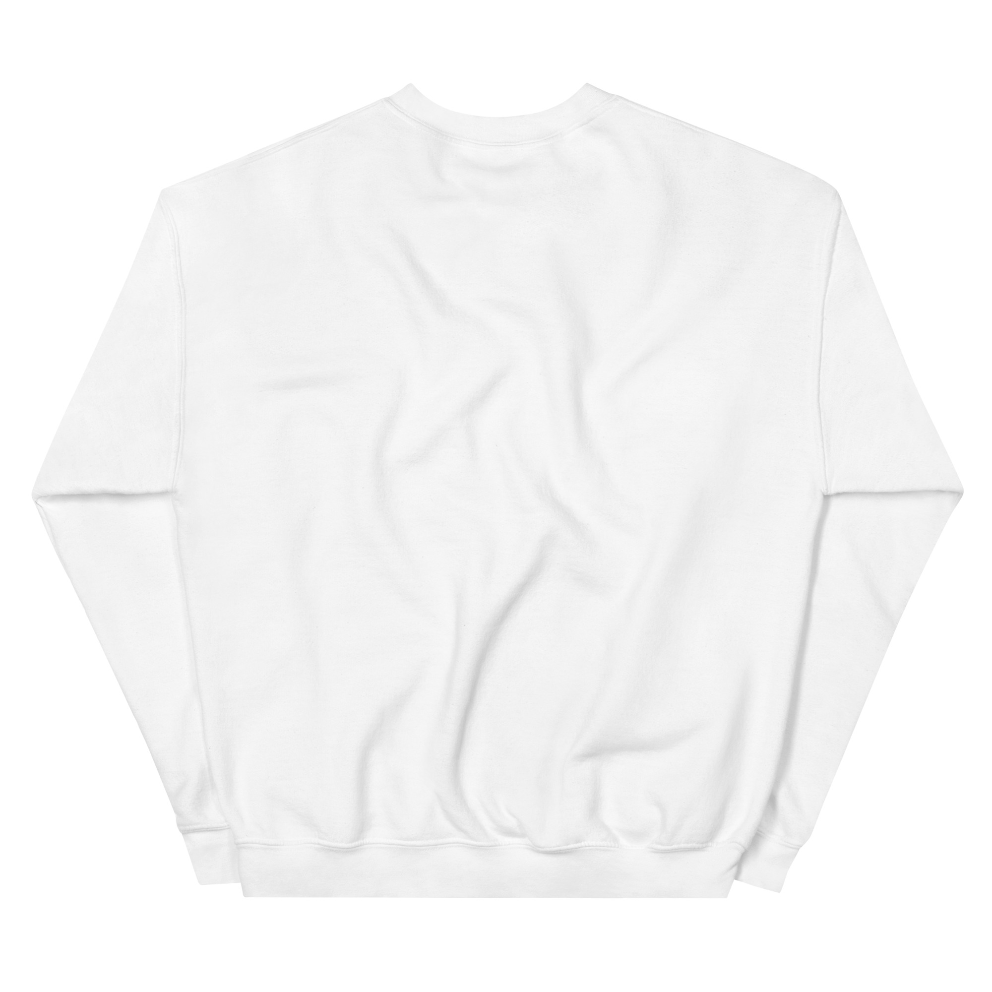 unisex-crew-neck-sweatshirt-white-back-68f25bfa847a6.jpg