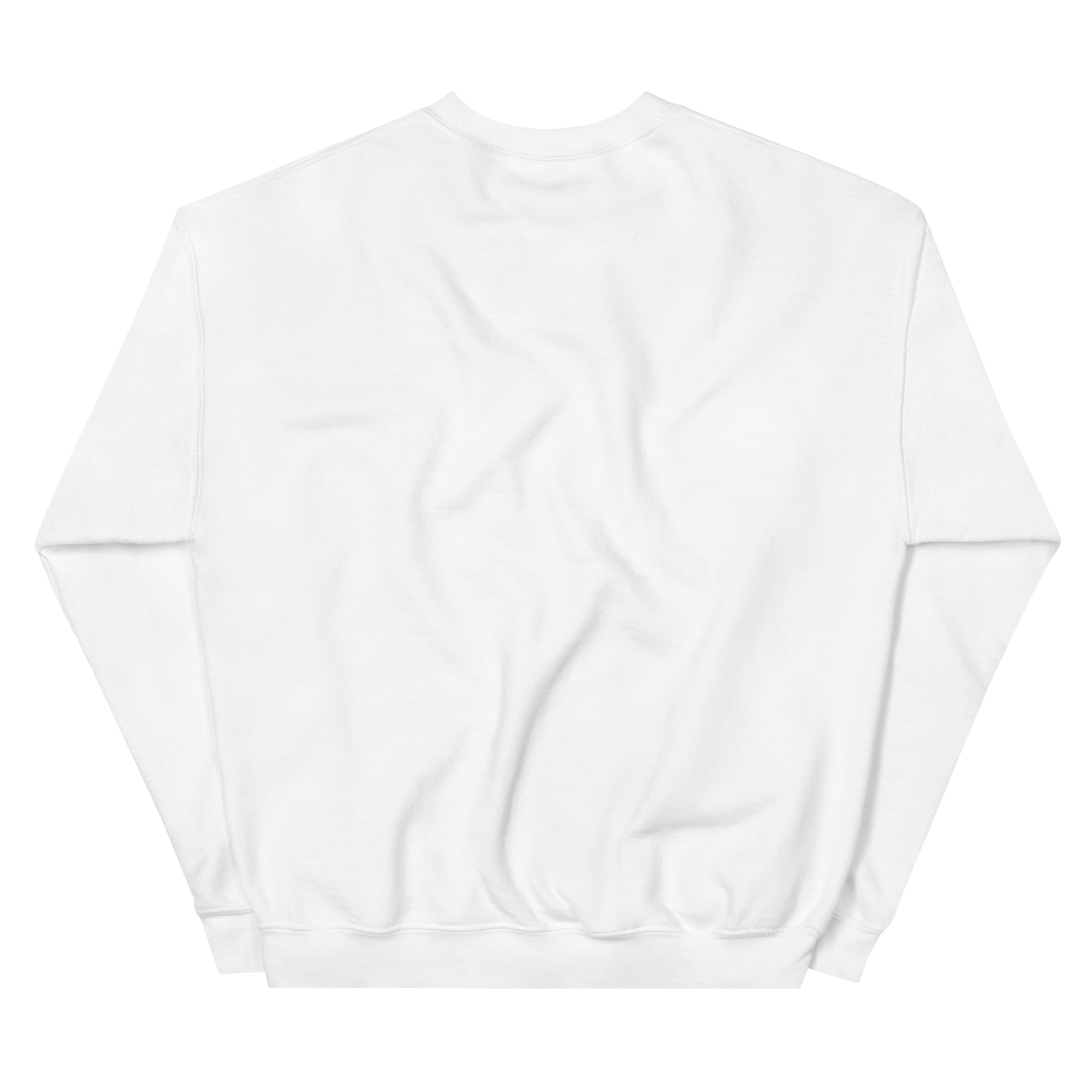 unisex-crew-neck-sweatshirt-white-back-68f3b62a54e9c.png