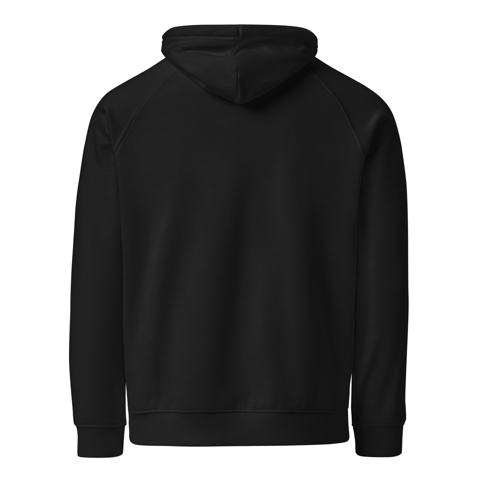 unisex-eco-raglan-hoodie-black-back-68f8e40caa61d.jpg