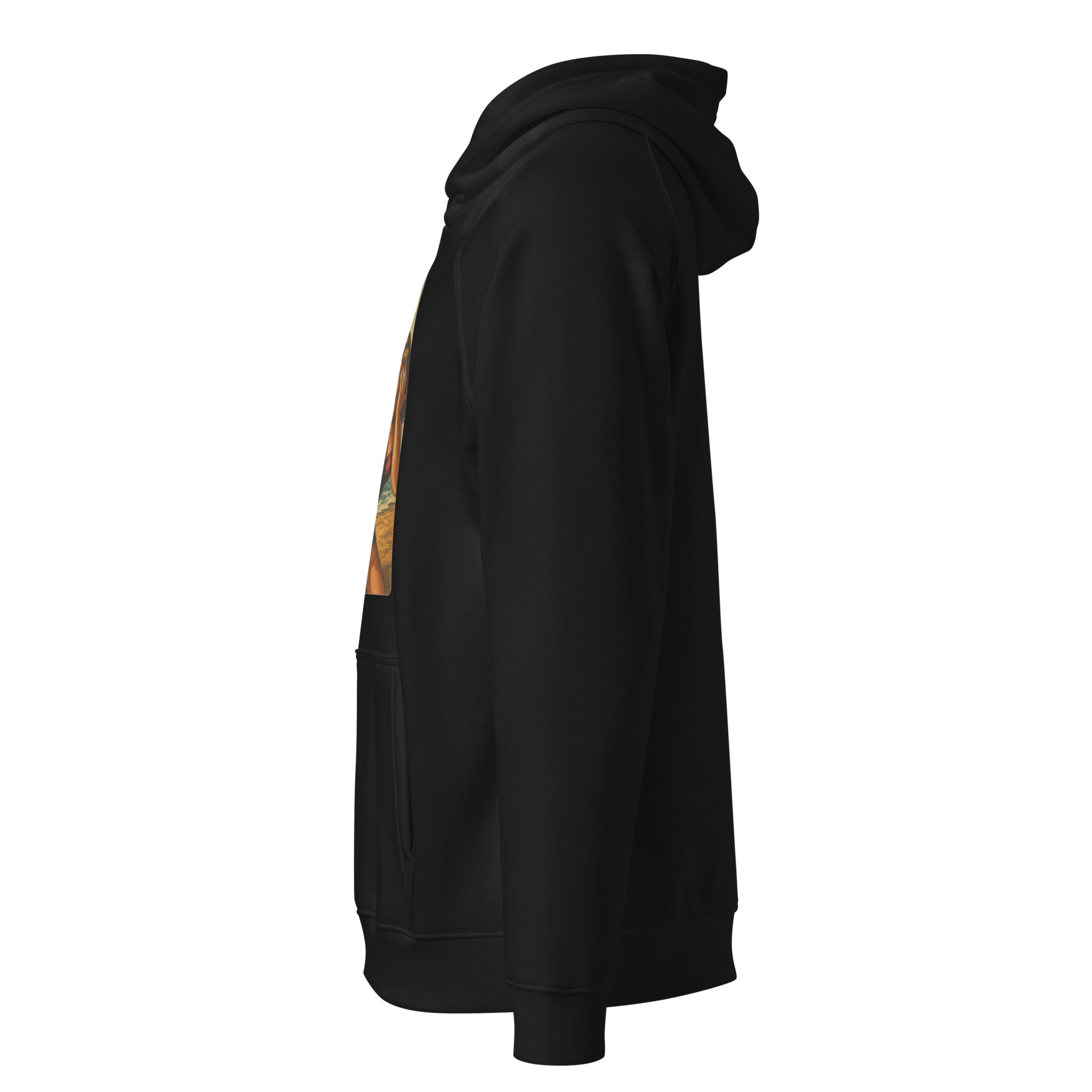 unisex-eco-raglan-hoodie-black-left-68f8e3bed5f2e.jpg