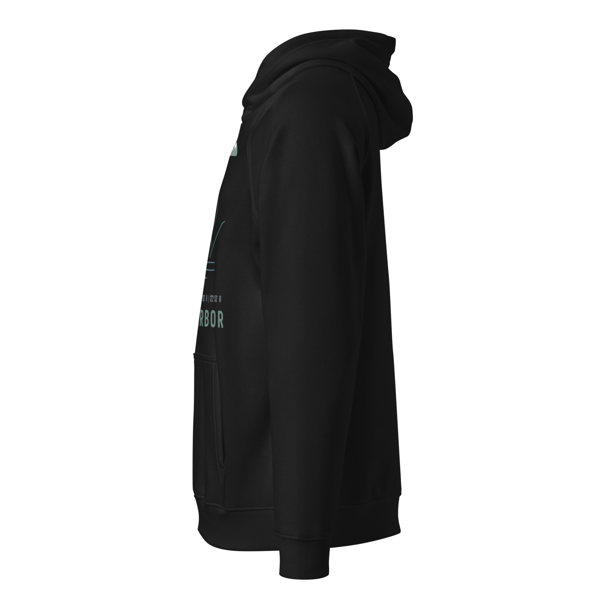 unisex-eco-raglan-hoodie-black-left-68f8e40caa19e.jpg