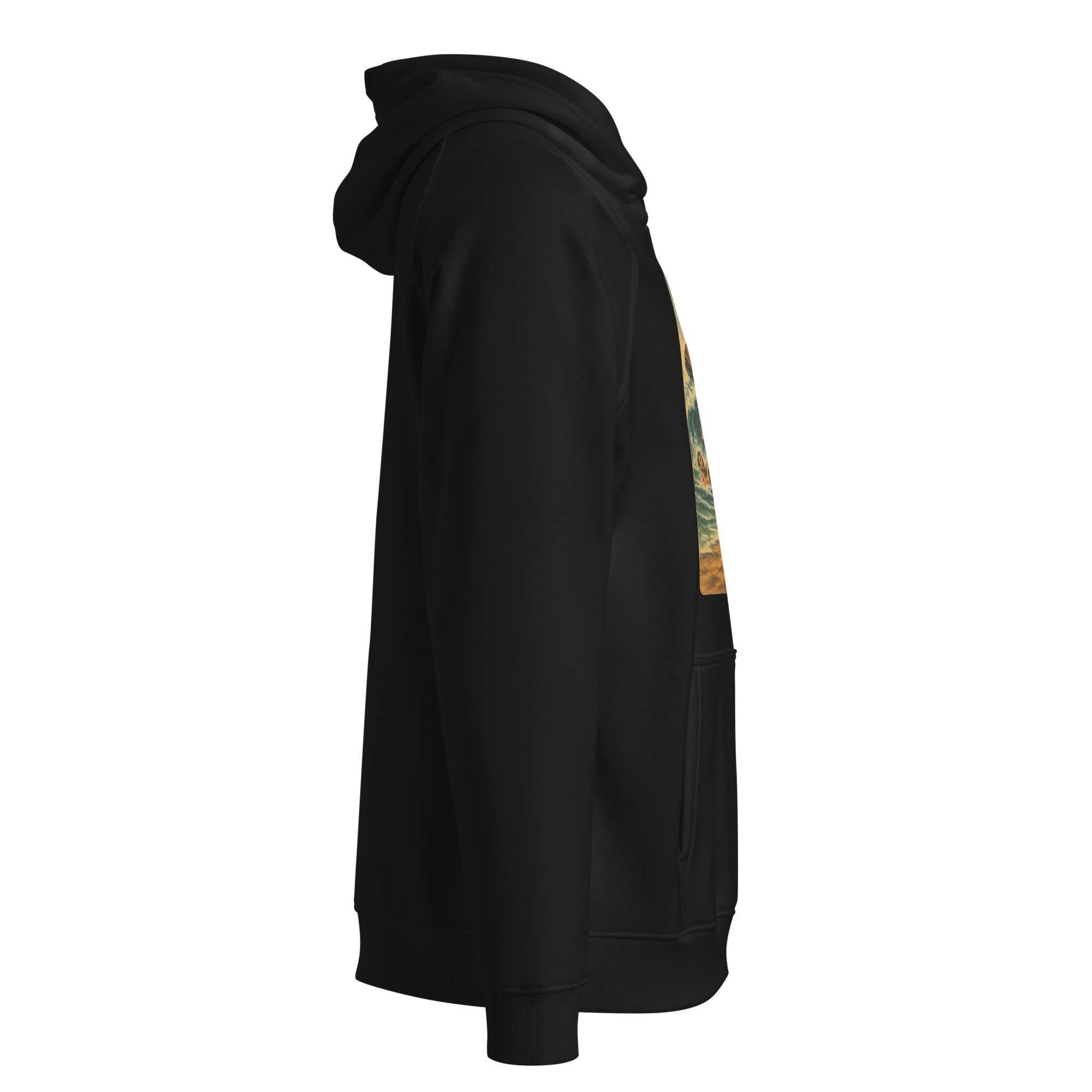 unisex-eco-raglan-hoodie-black-right-68f8e3bed611c.jpg