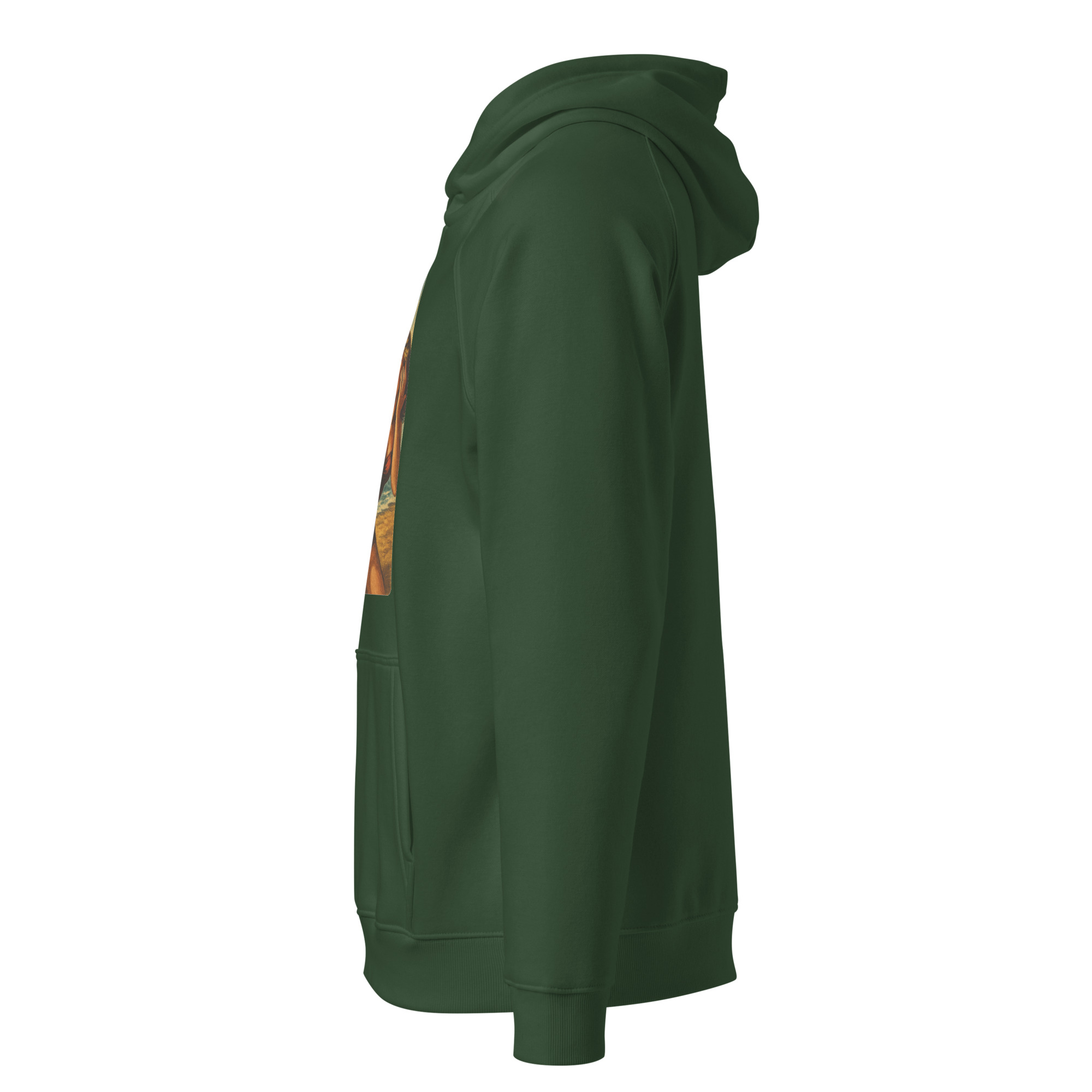 unisex-eco-raglan-hoodie-bottle-green-left-68f8e3bedaeb1.jpg