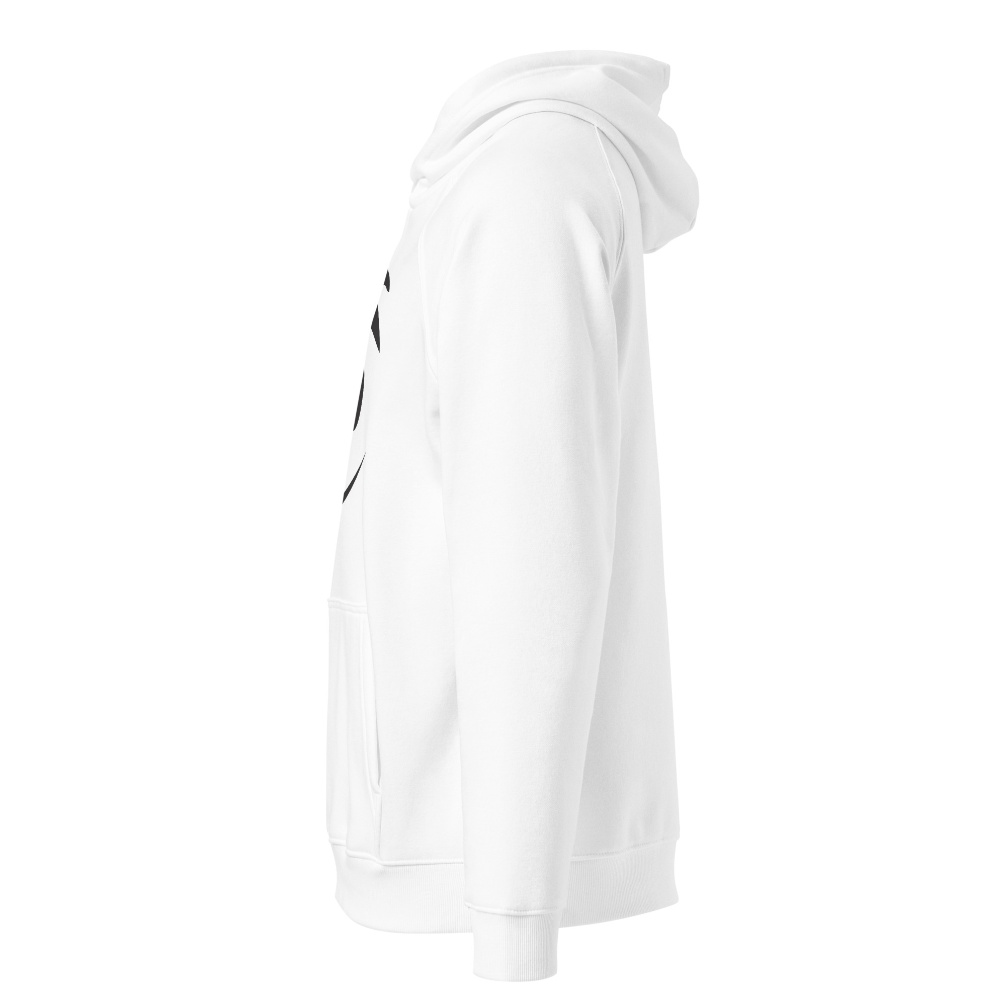 unisex-eco-raglan-hoodie-white-left-68f3a40ca58d1.jpg